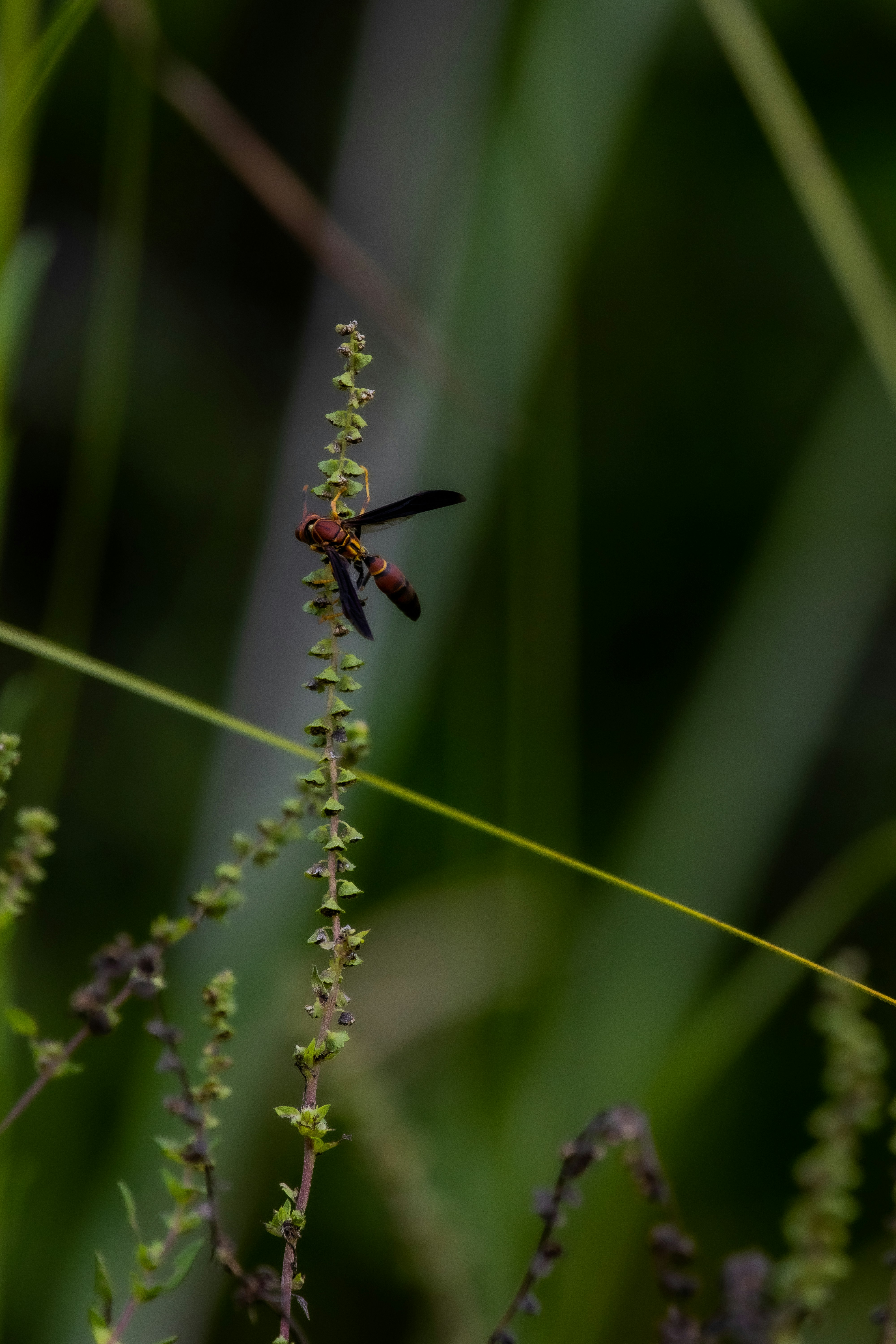 Photo by adriancross05