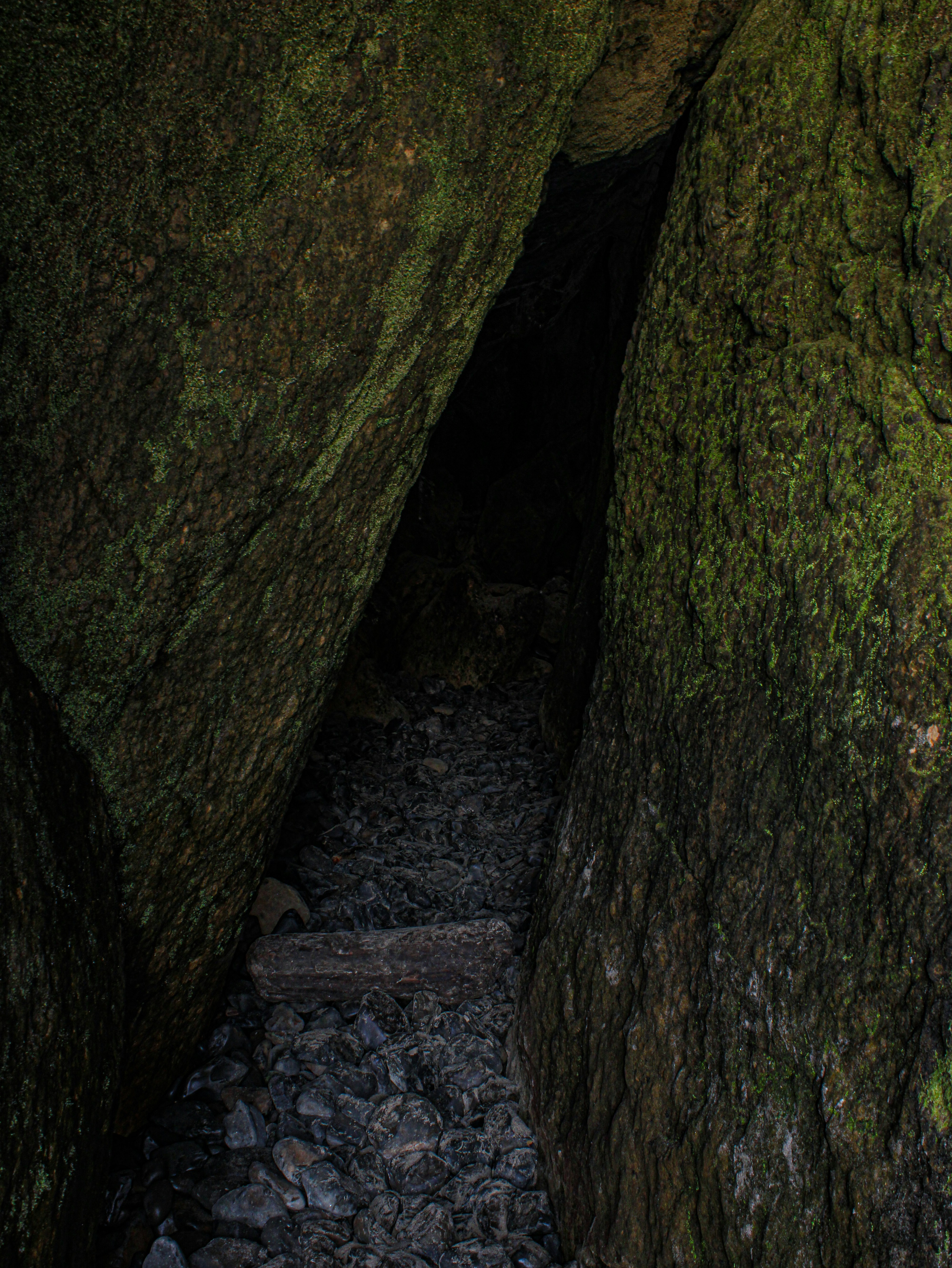 Photo by prphotography262