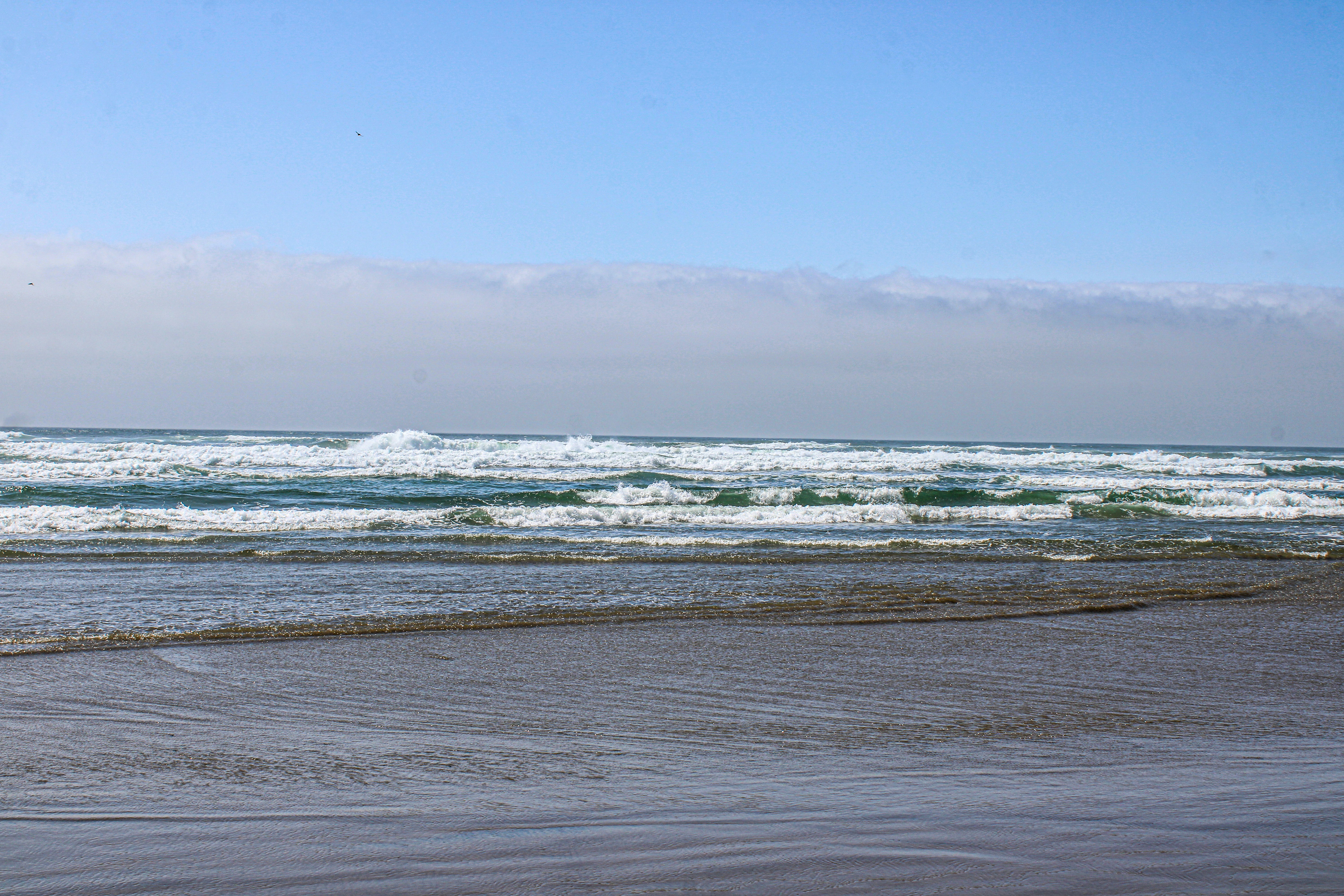 Photo by prphotography262