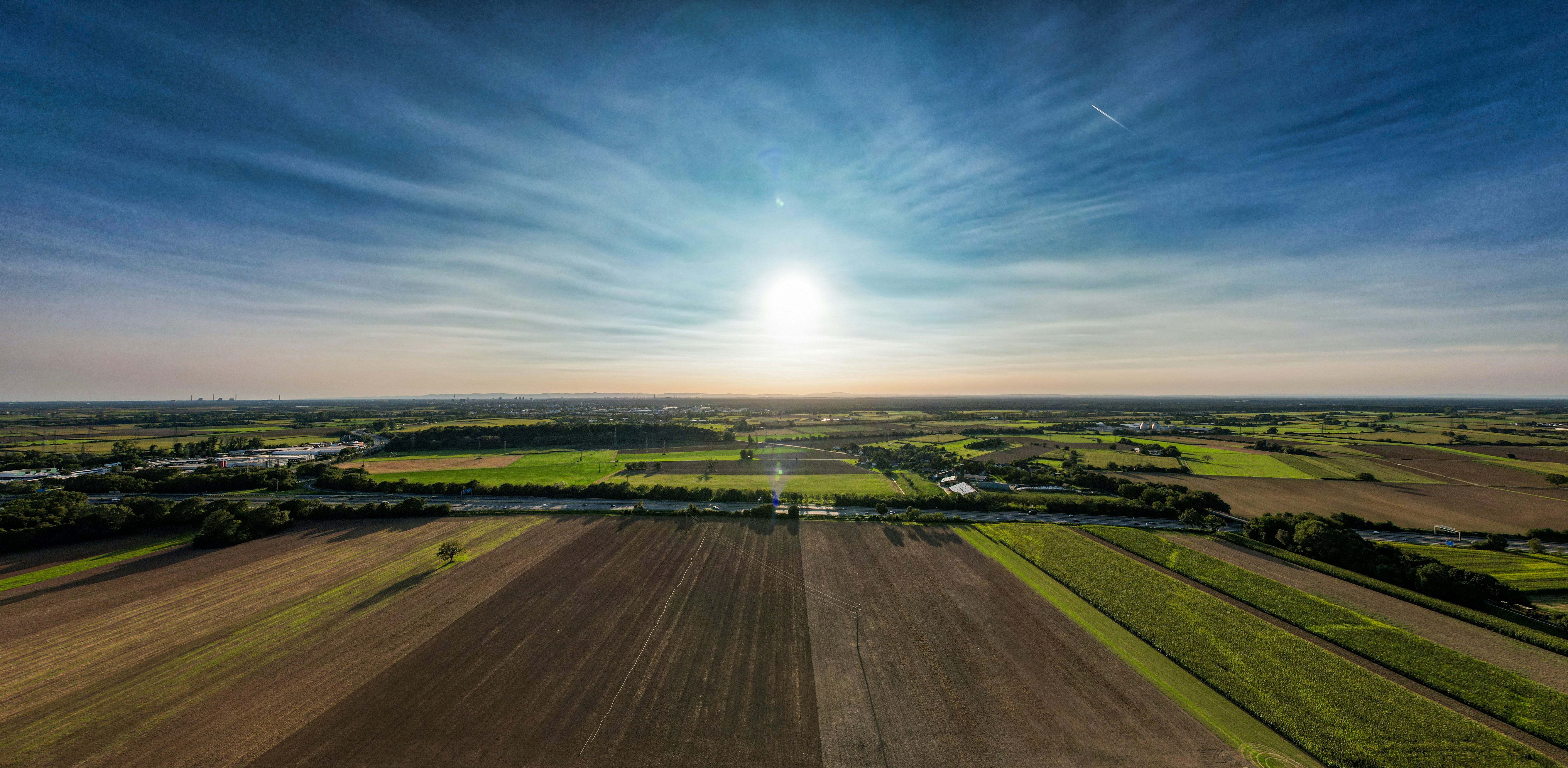 Drone aerial view of Georgia farmland showing property lines and land use, bright daylight, wide landscape perspective