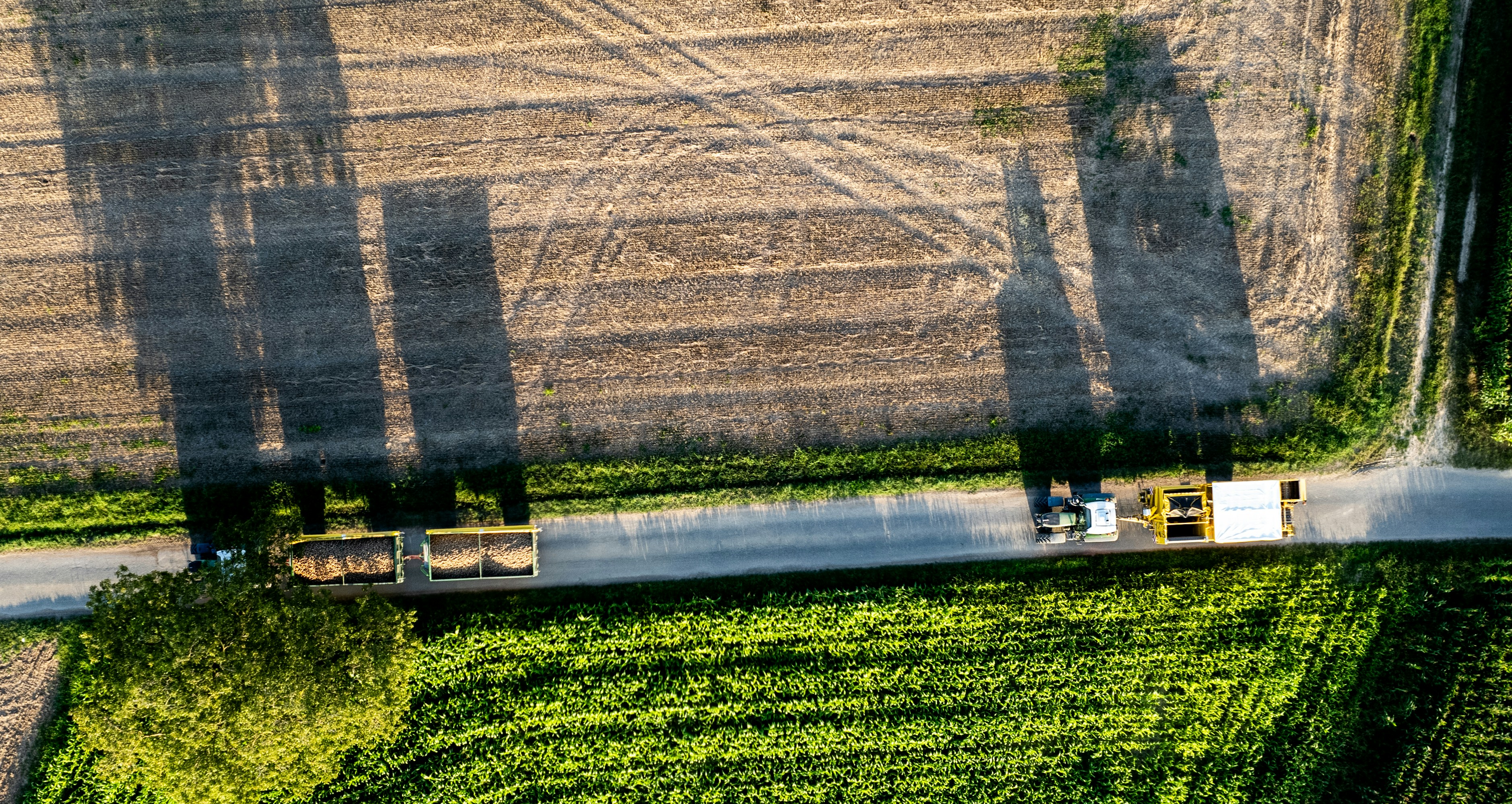 Agriculture & Farming