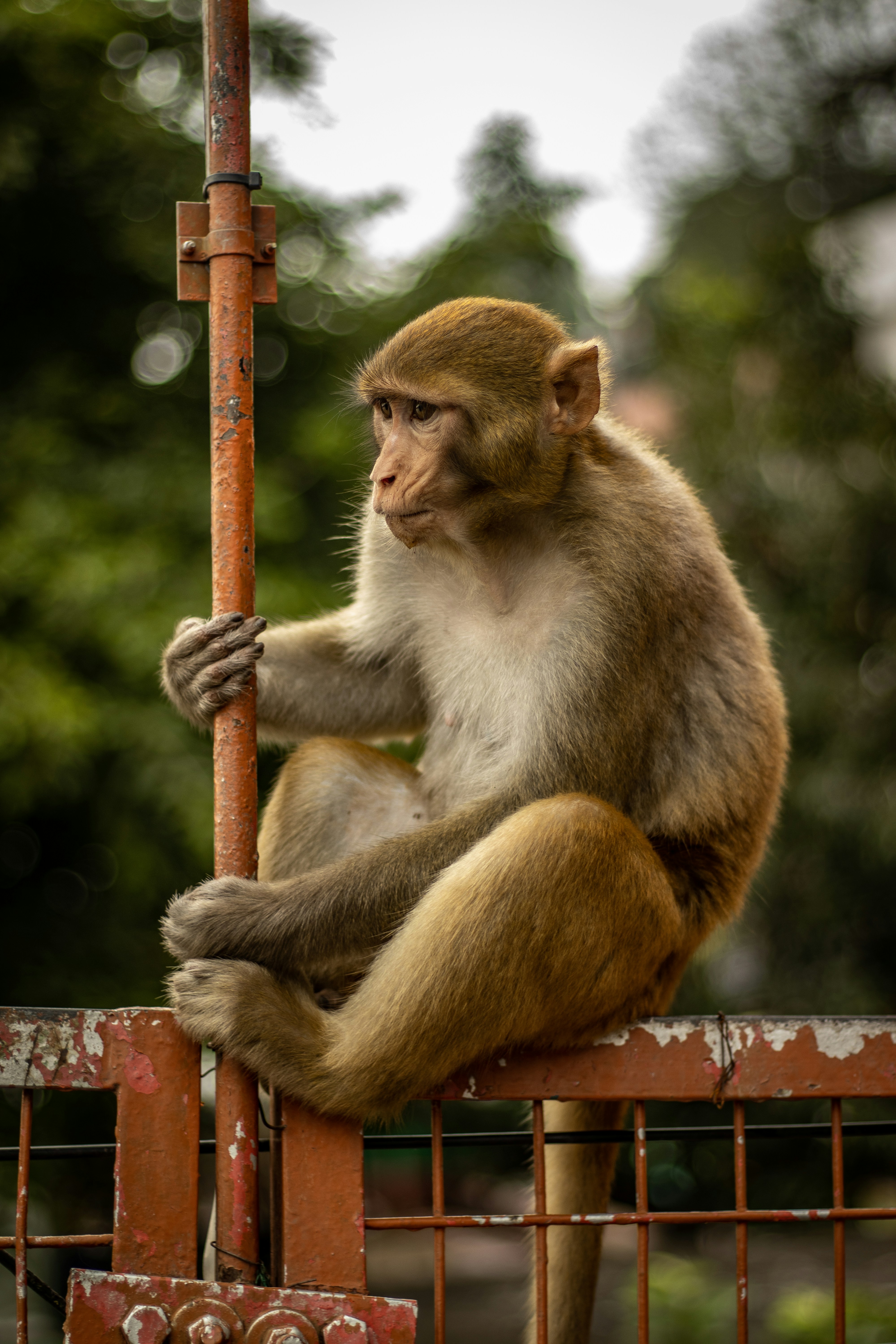 Photo by akshat_jhingran