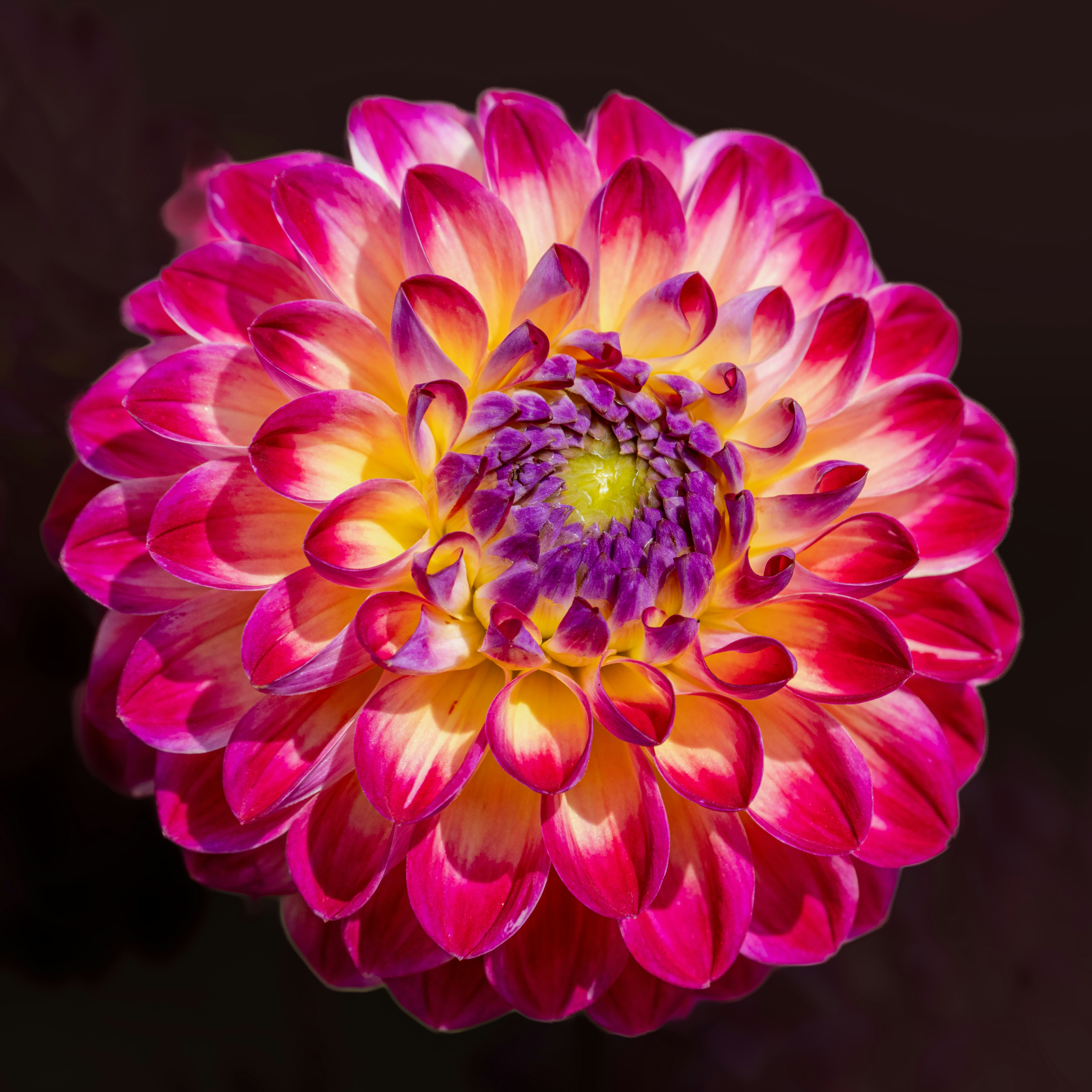 Photo by siegfriedpoepperl