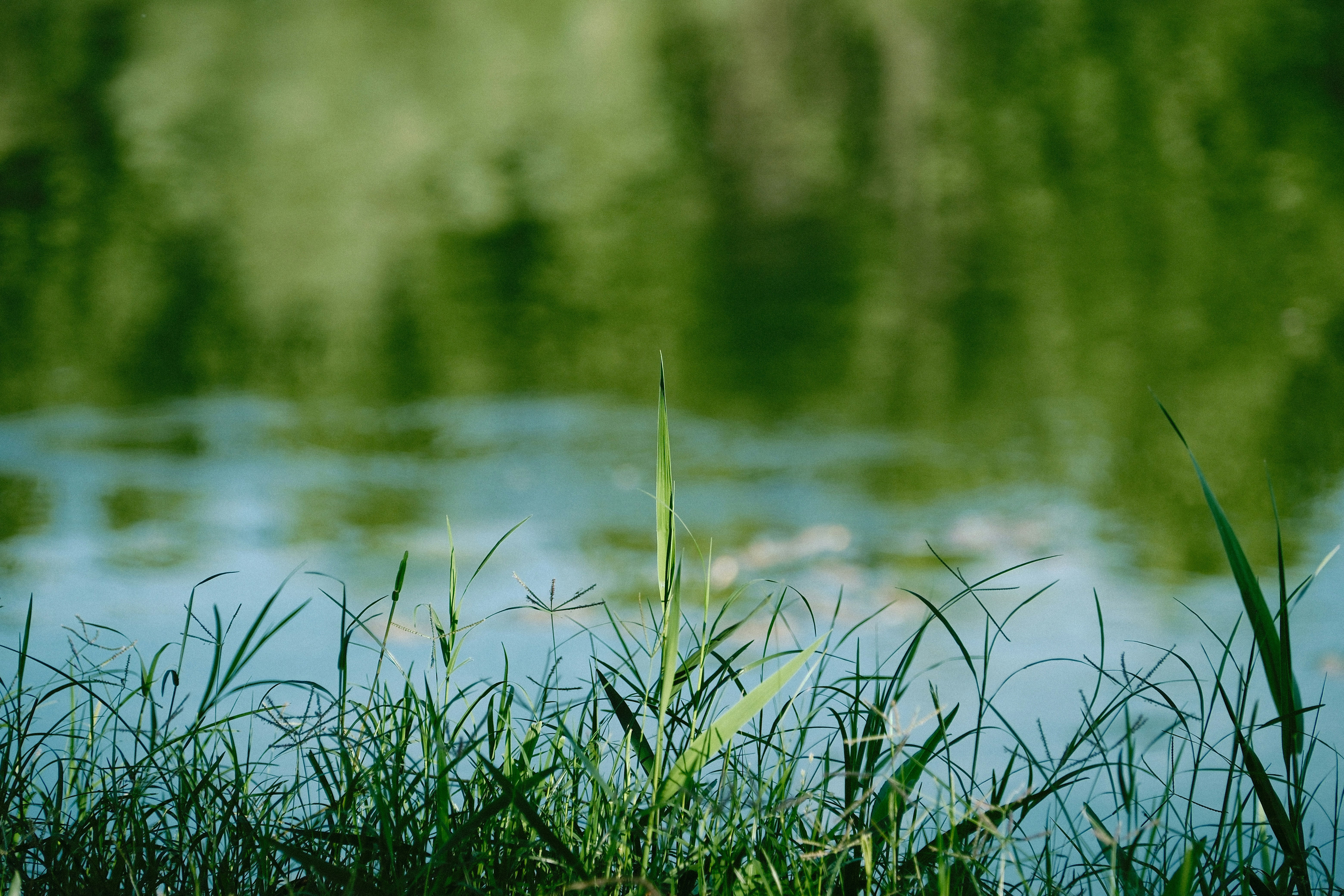 Photo by photohunter