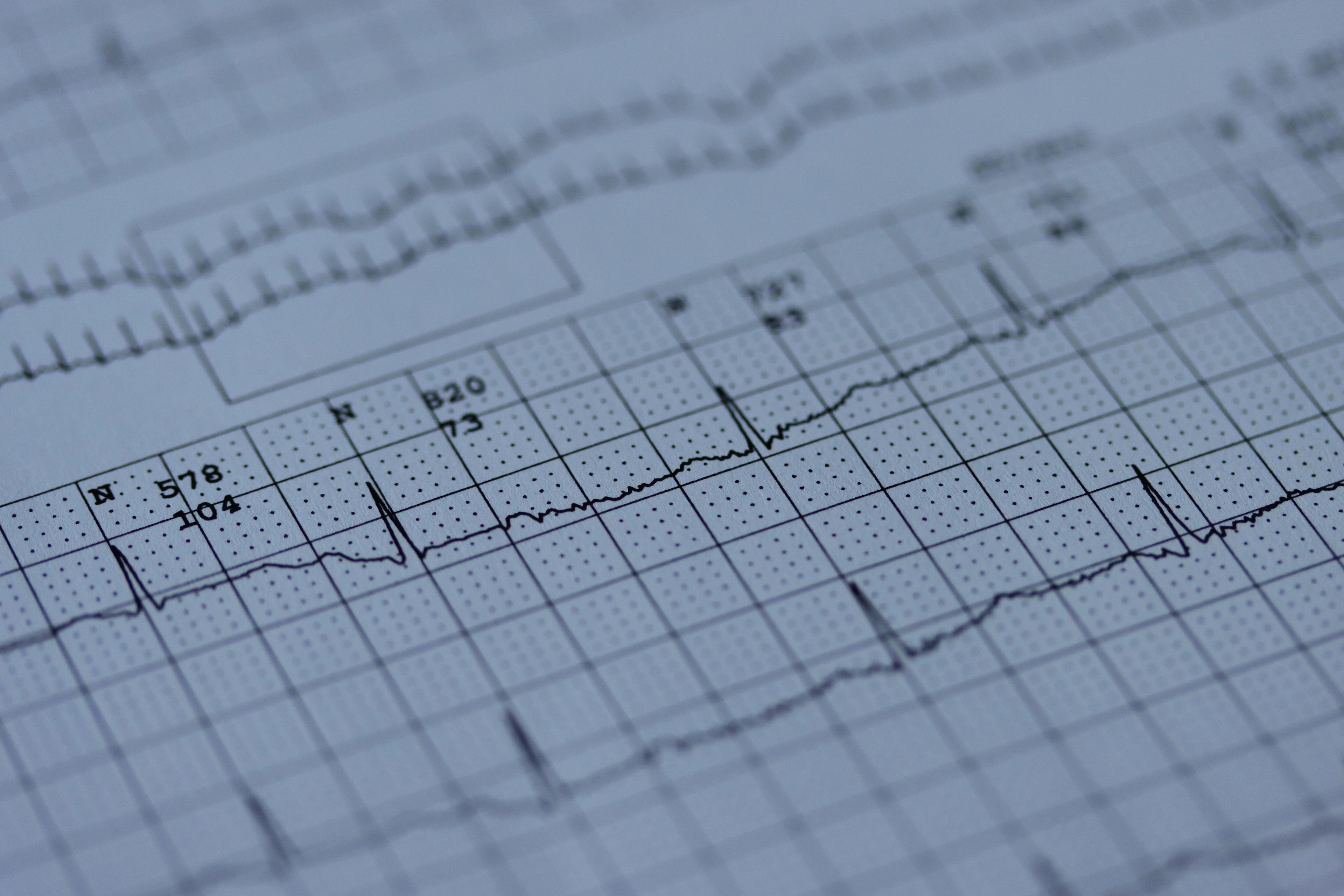 Cardiology (Heart Care)