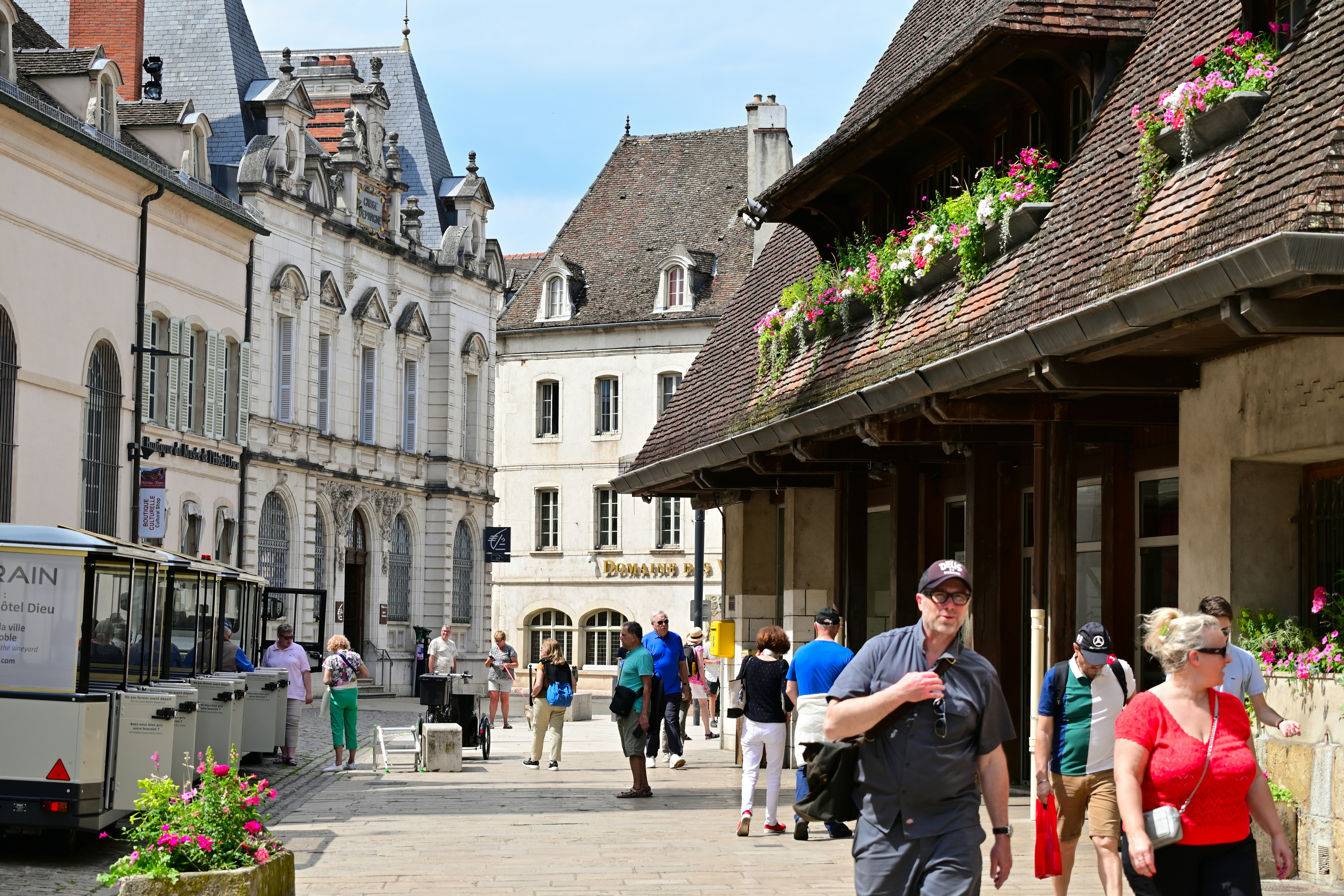 Photo by aminzabardast