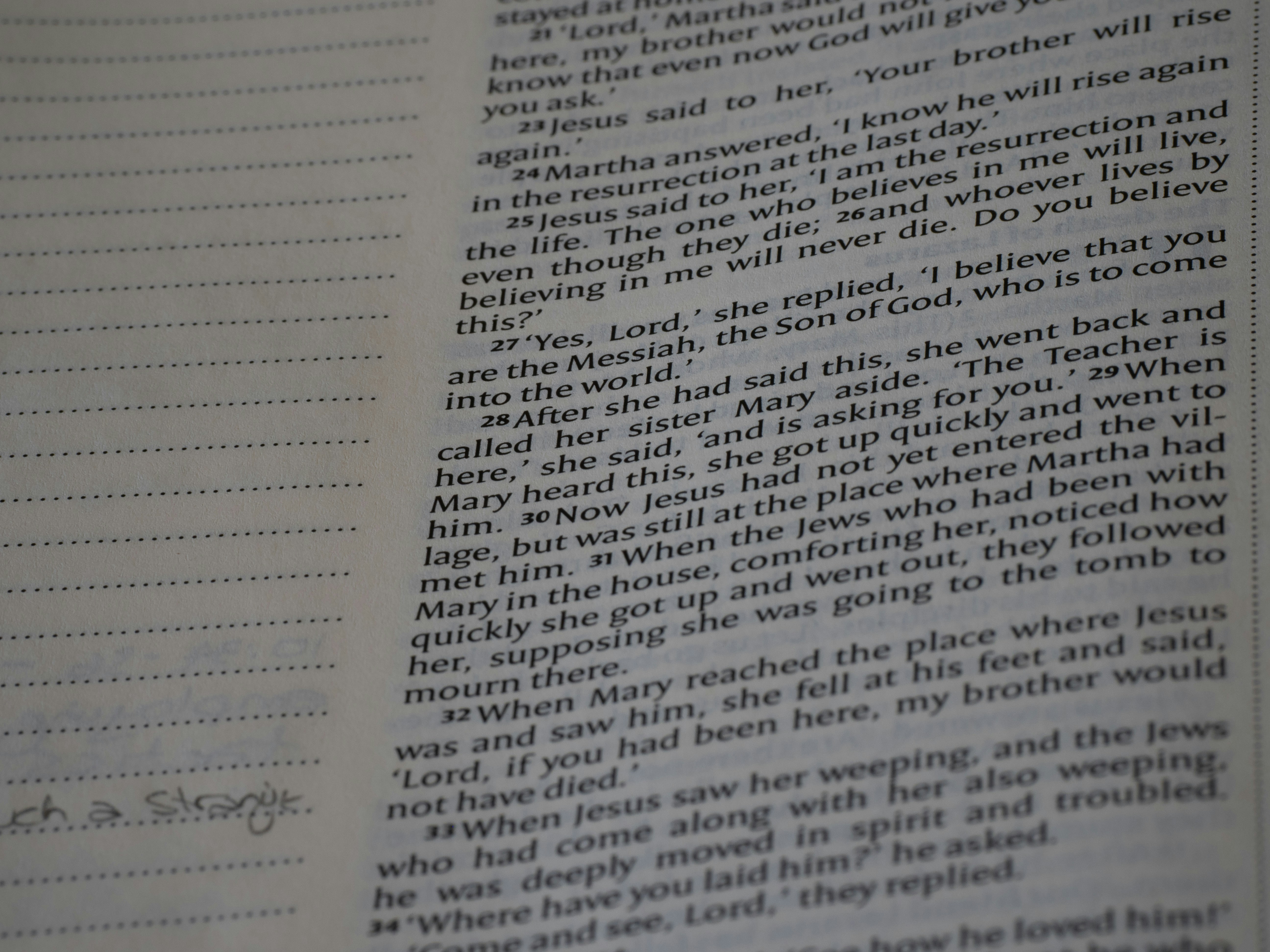 Photo by brett_jordan