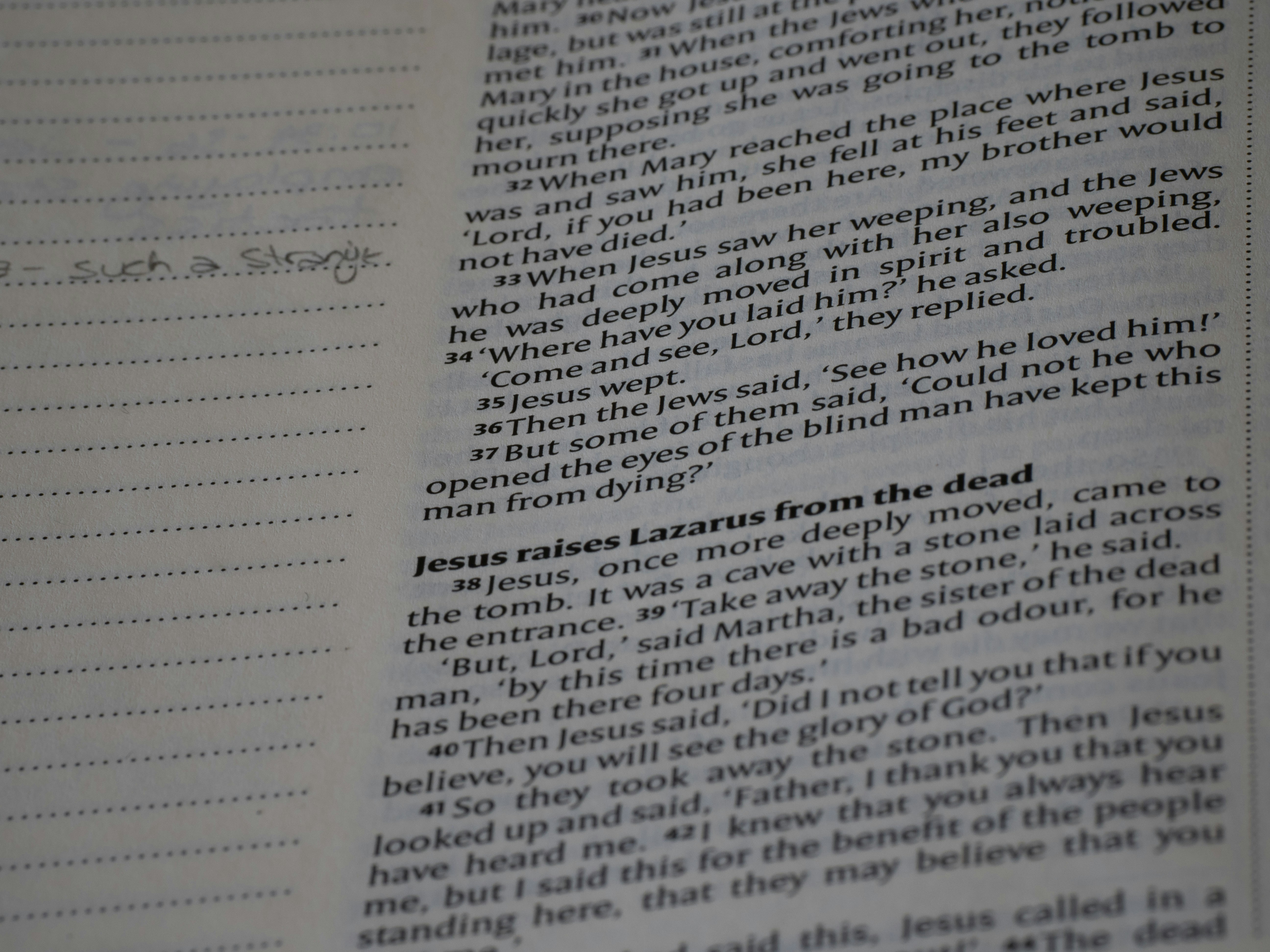 Photo by brett_jordan