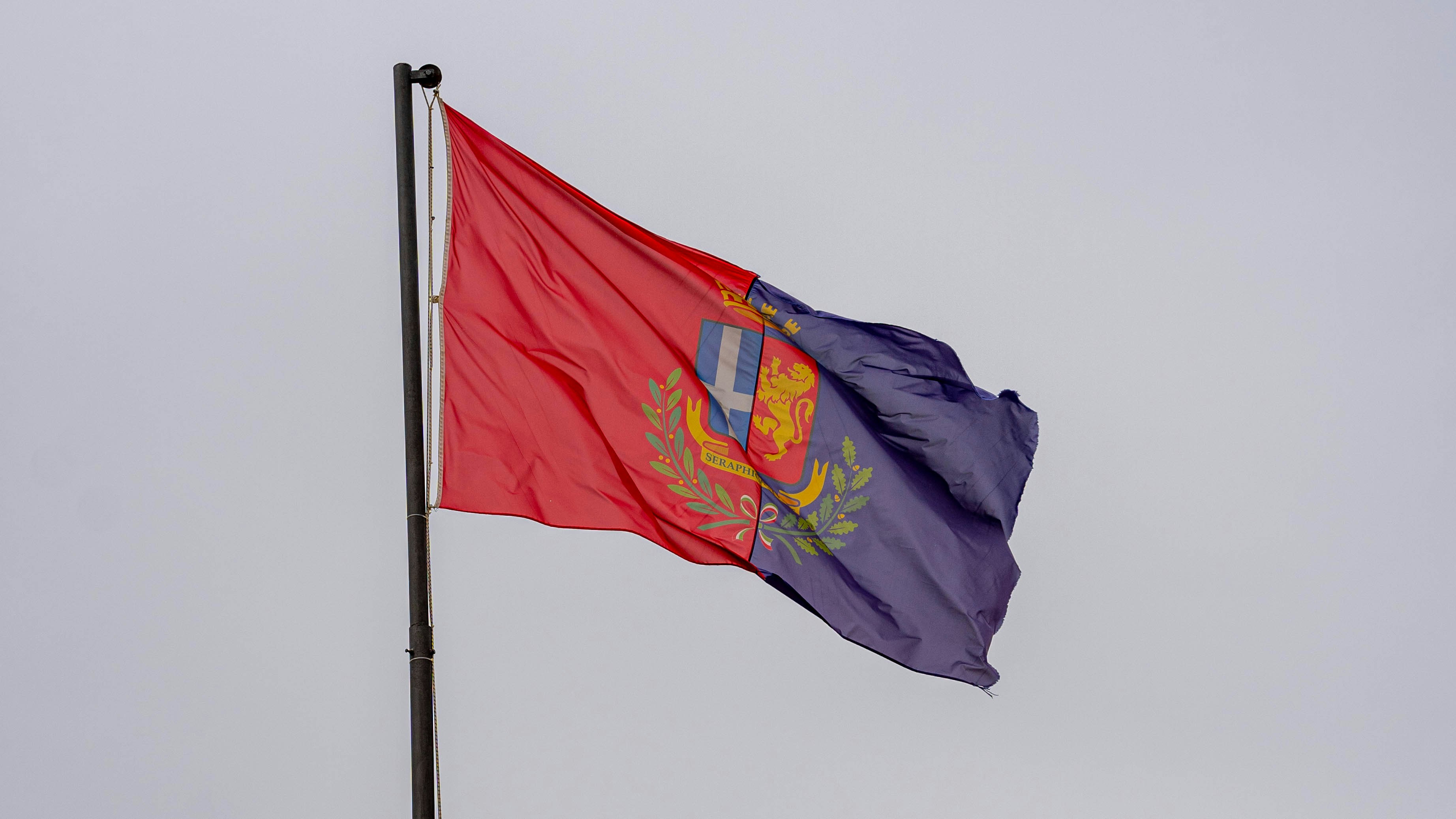 A flag flying in the wind on a cloudy day