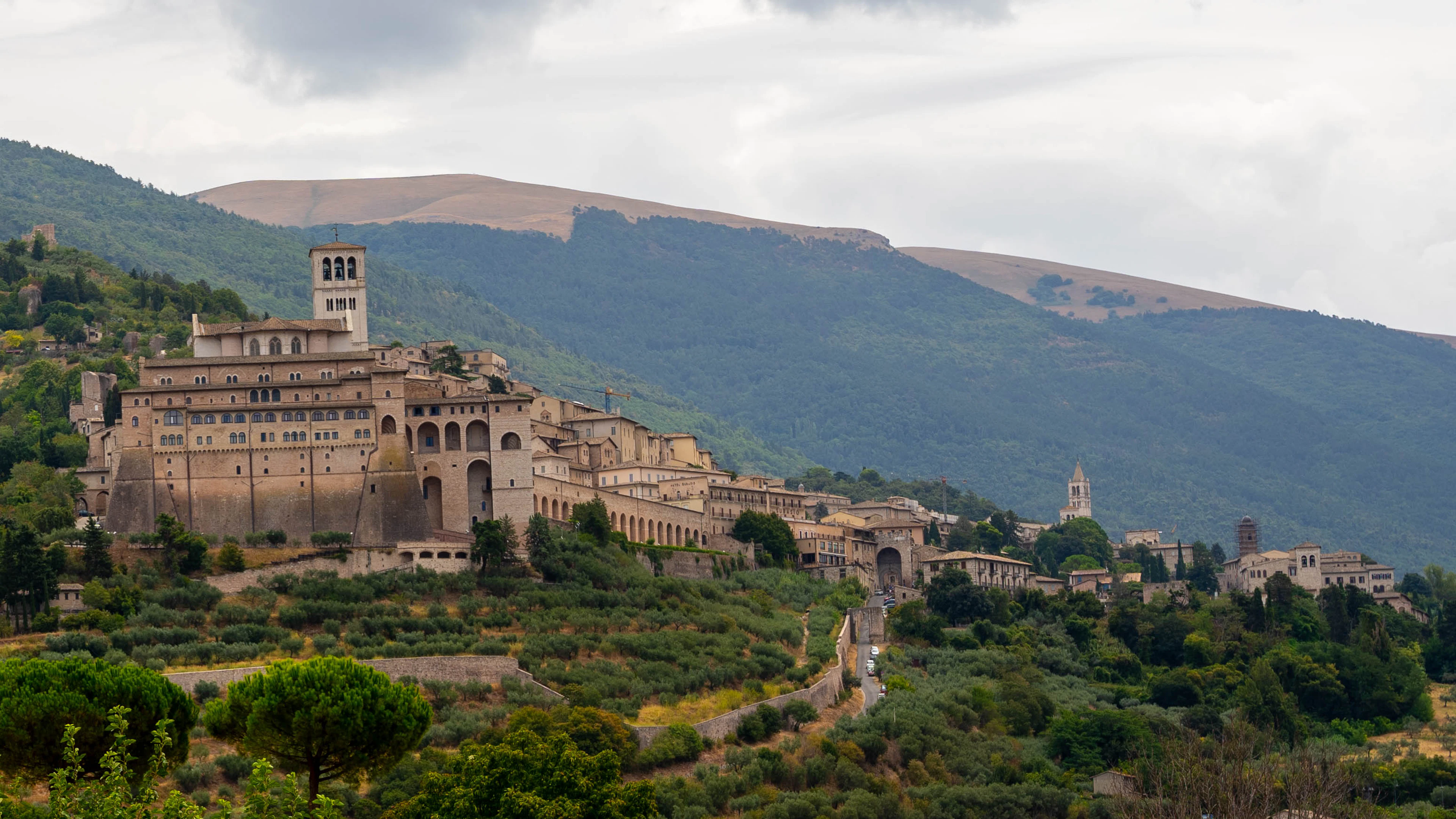 Assisi