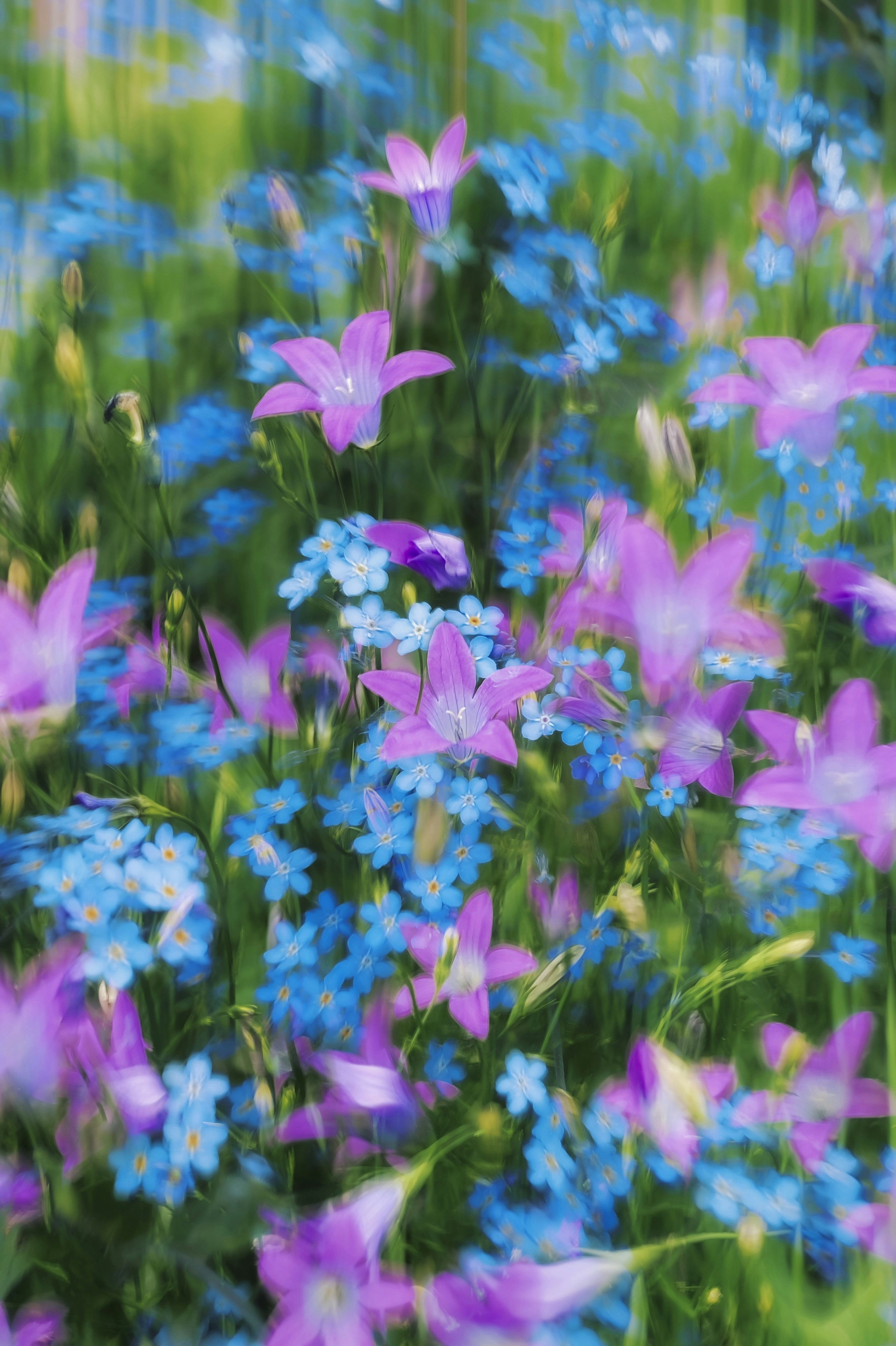 Photo by eugene_golovesov