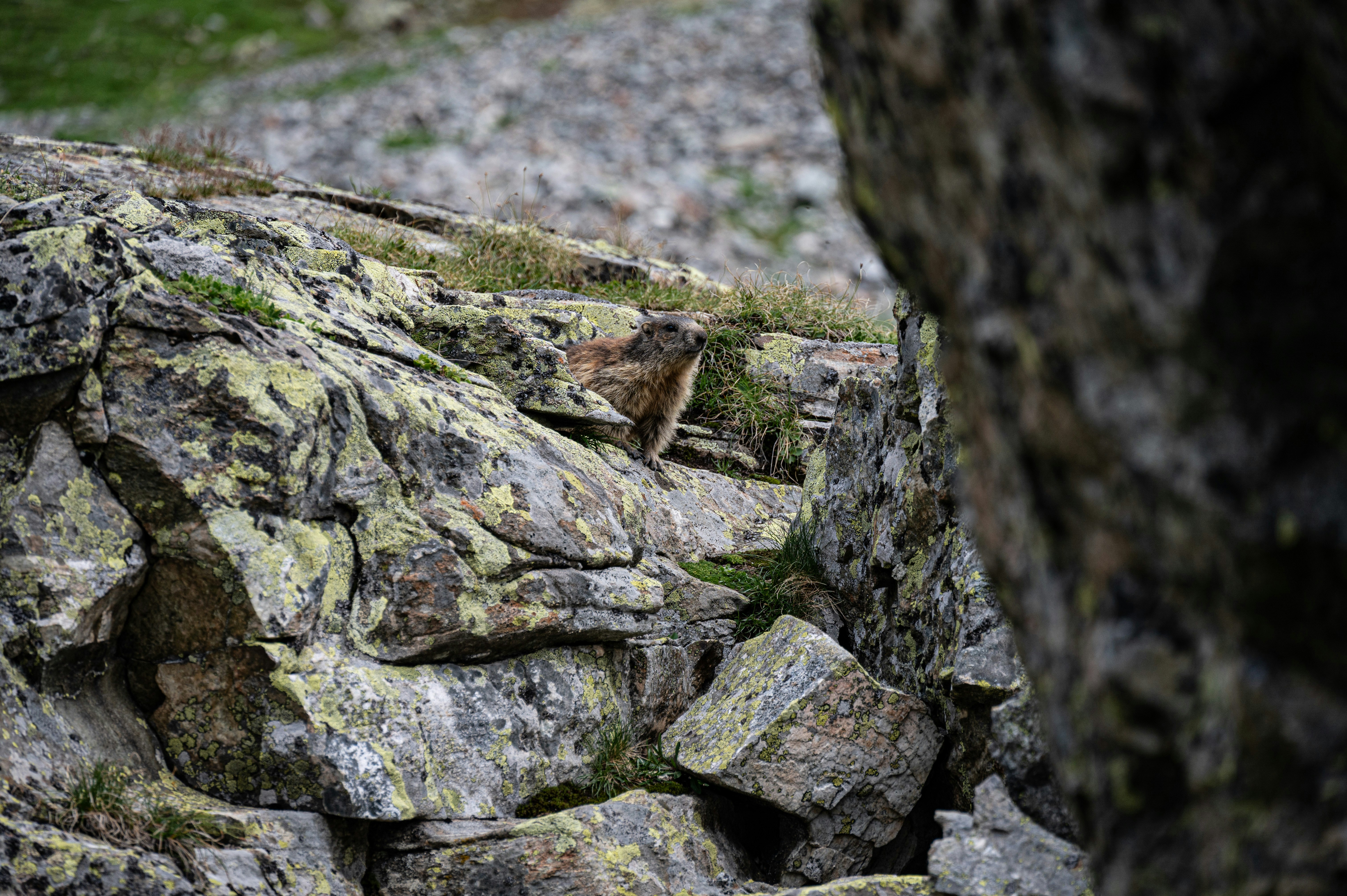 Photo by babettelandmesser