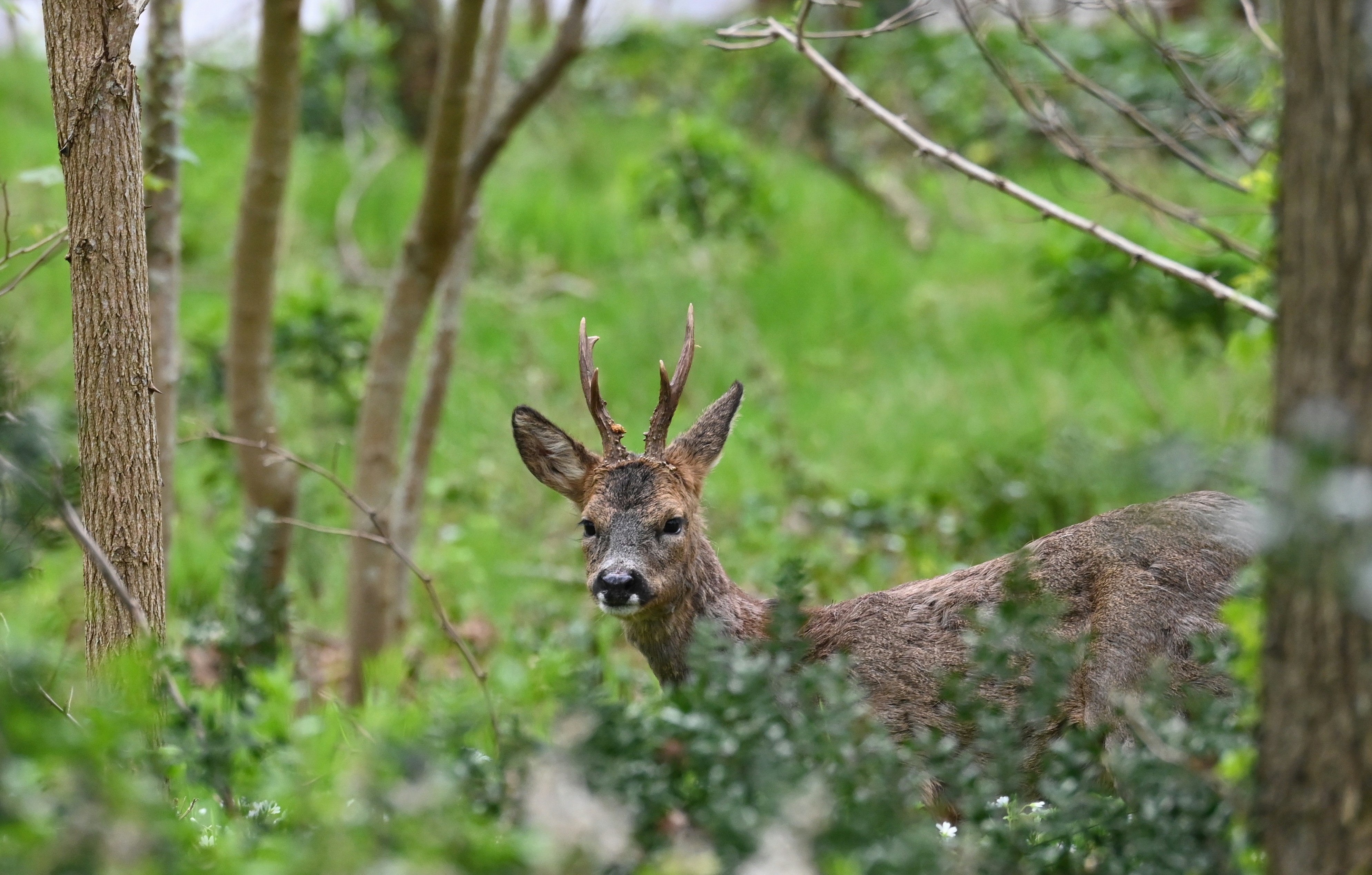 Photo by jeandekindt