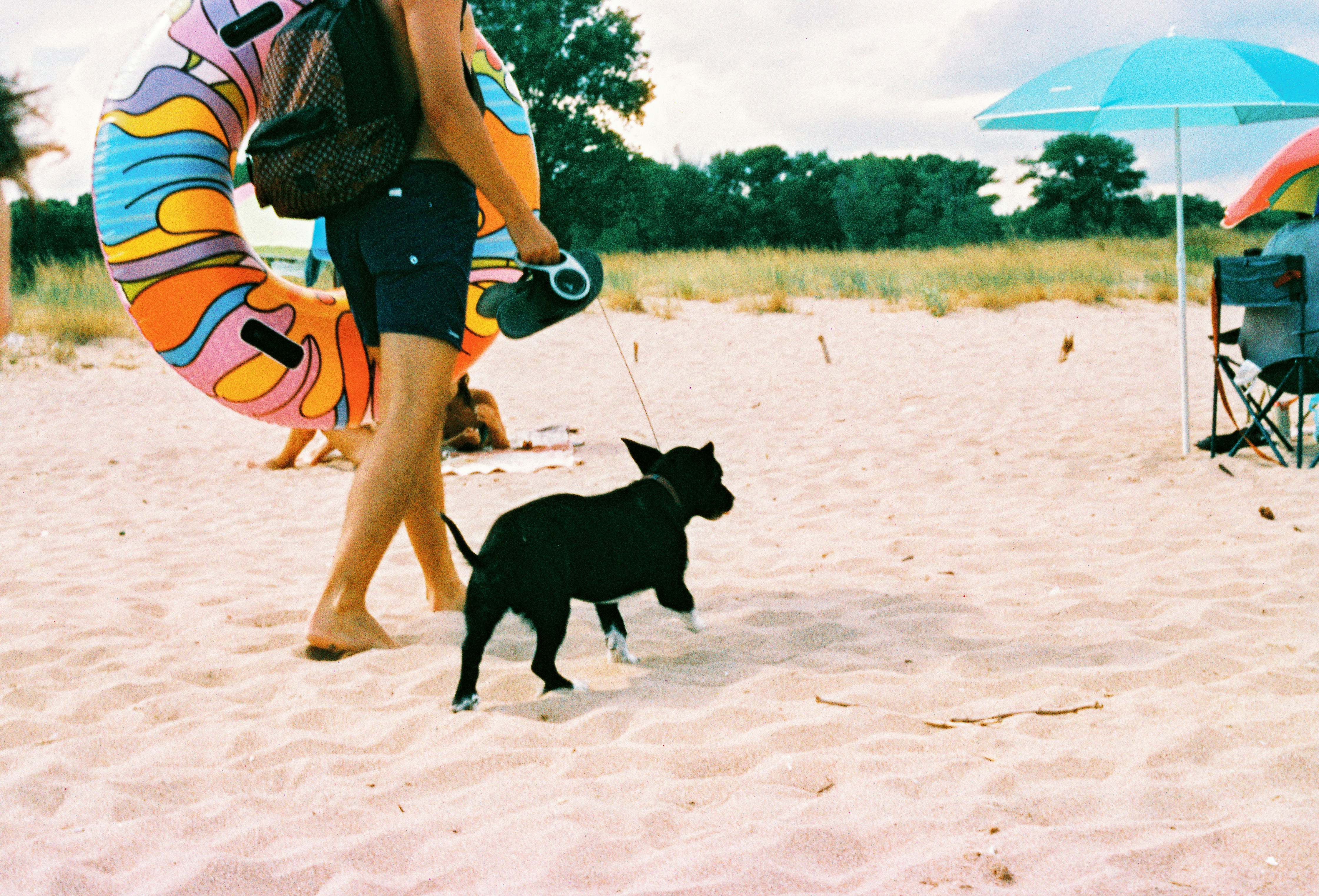 A man walking a small dog on a beach