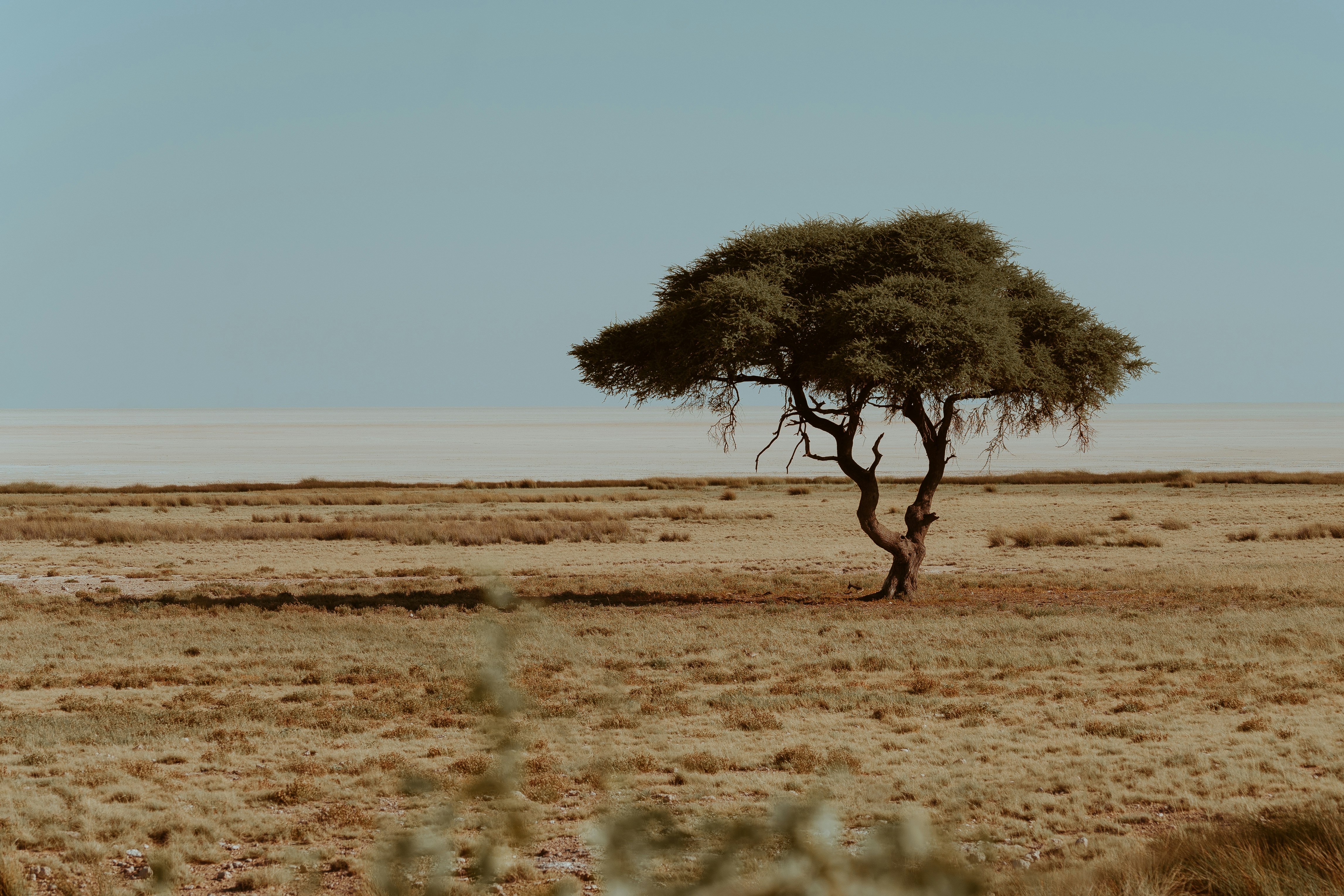 Photo by dagmar_1959