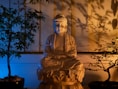 A buddha statue sitting in front of a bonsai tree