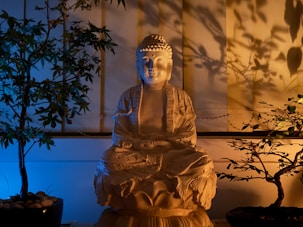 A buddha statue sitting in front of a bonsai tree