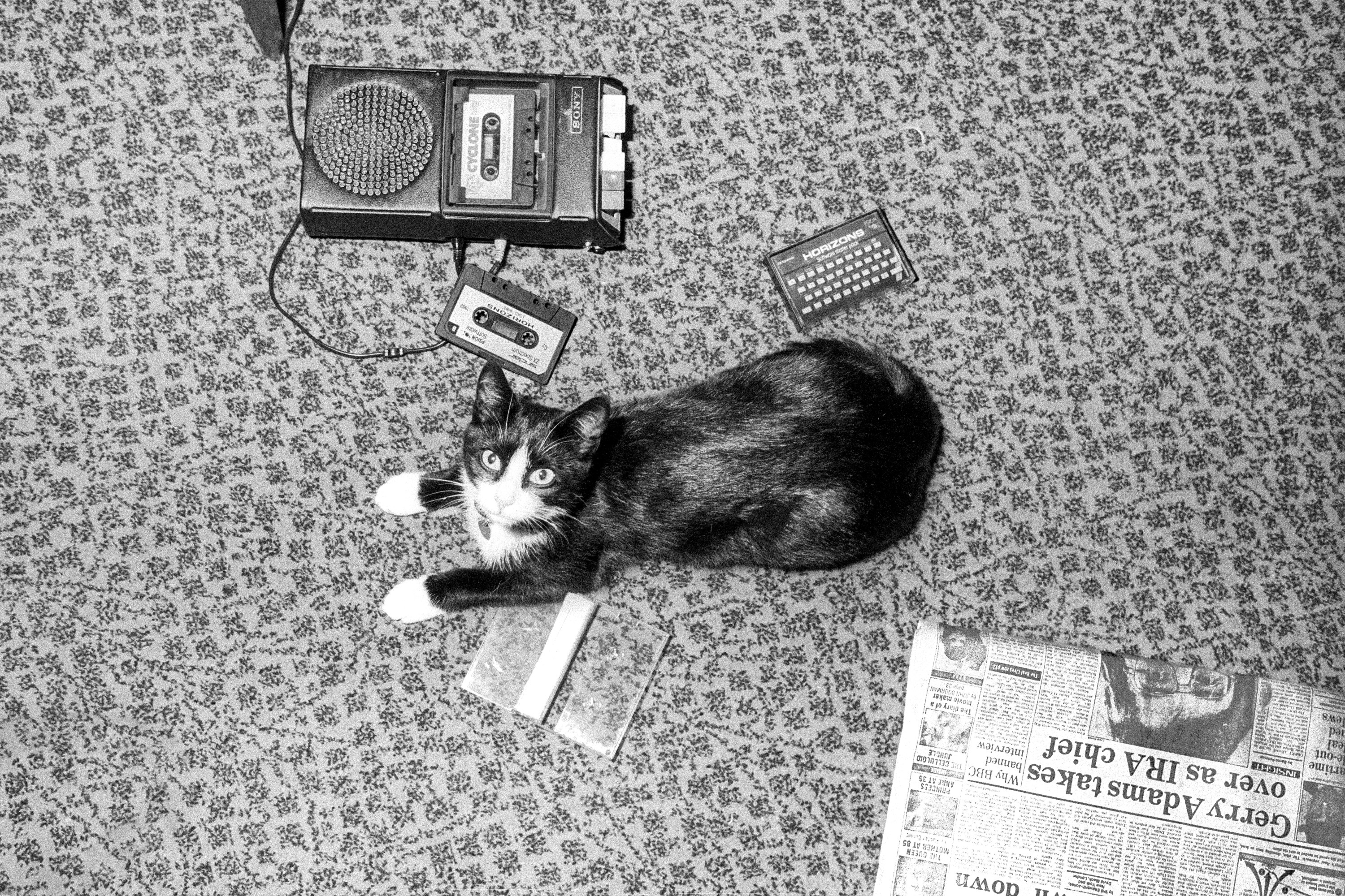 Photo 1724406033471 4e14e9b53bb7?ixid=M3w0MzUxNjF8MHwxfHNlYXJjaHw3fHxhbmltYWwlMjBuZXdzfGVufDB8fHx8MTc4NDYyMDgwN3ww&ixlib=rb 4.1