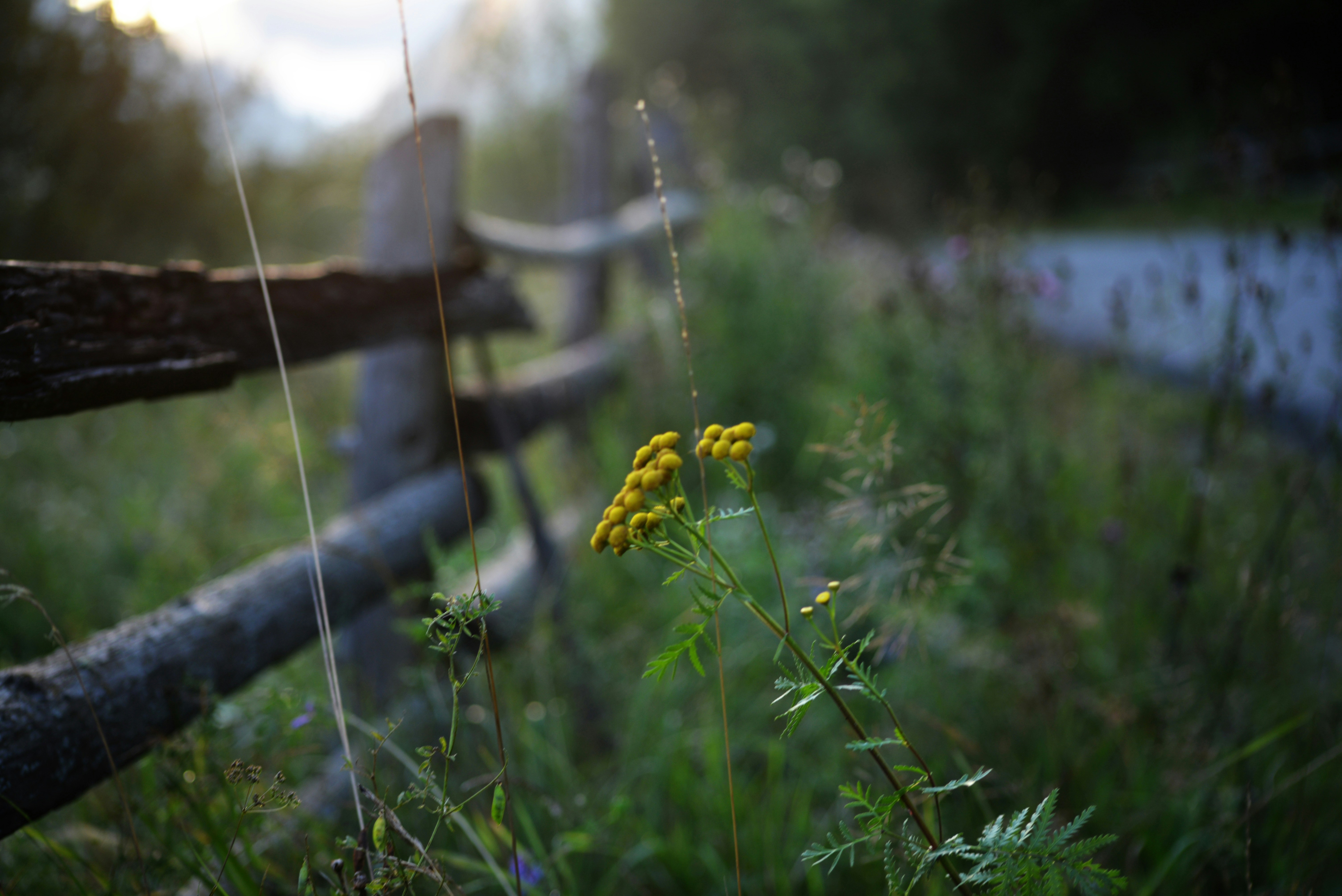 Photo by cherstve_pechivo