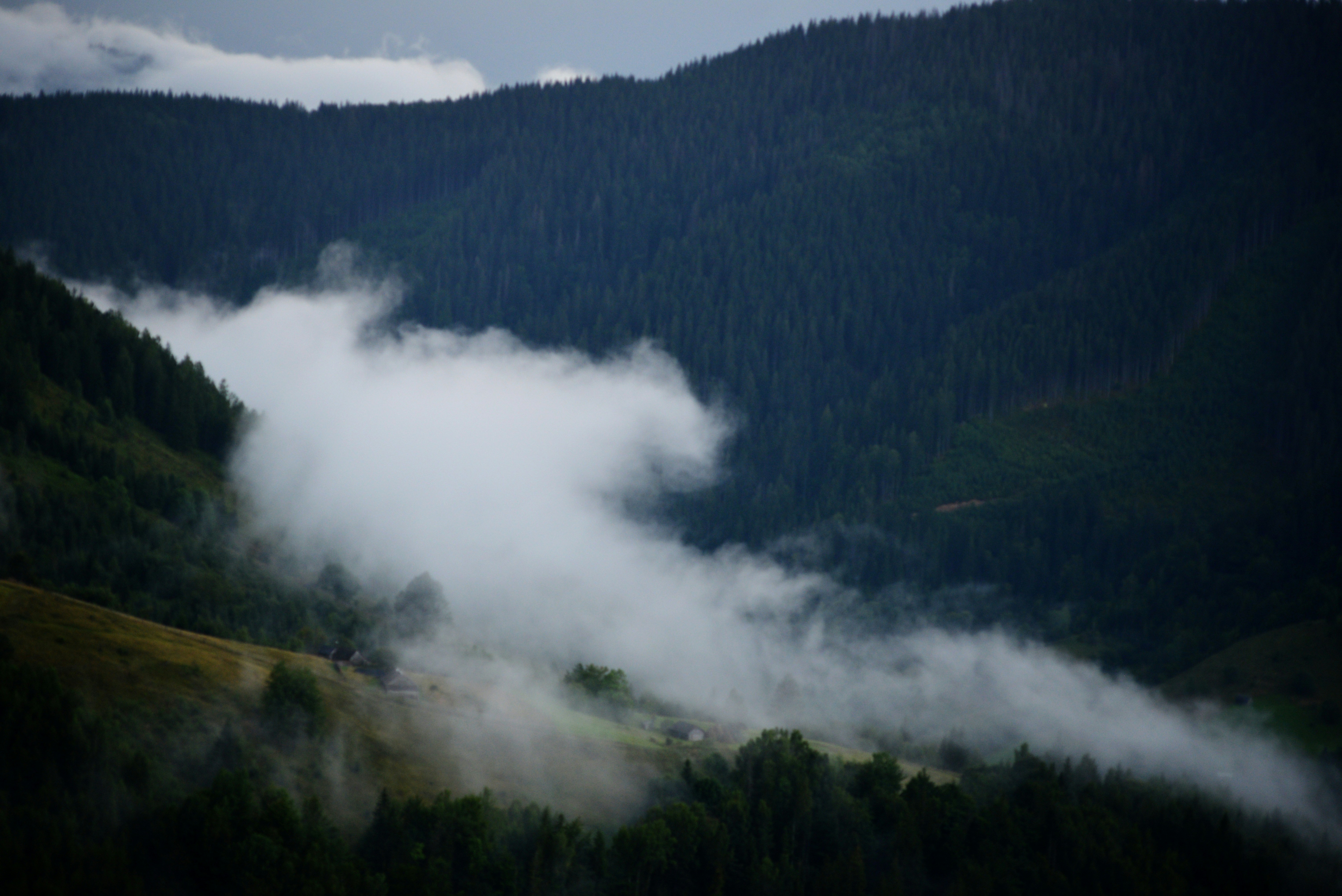 Photo by cherstve_pechivo