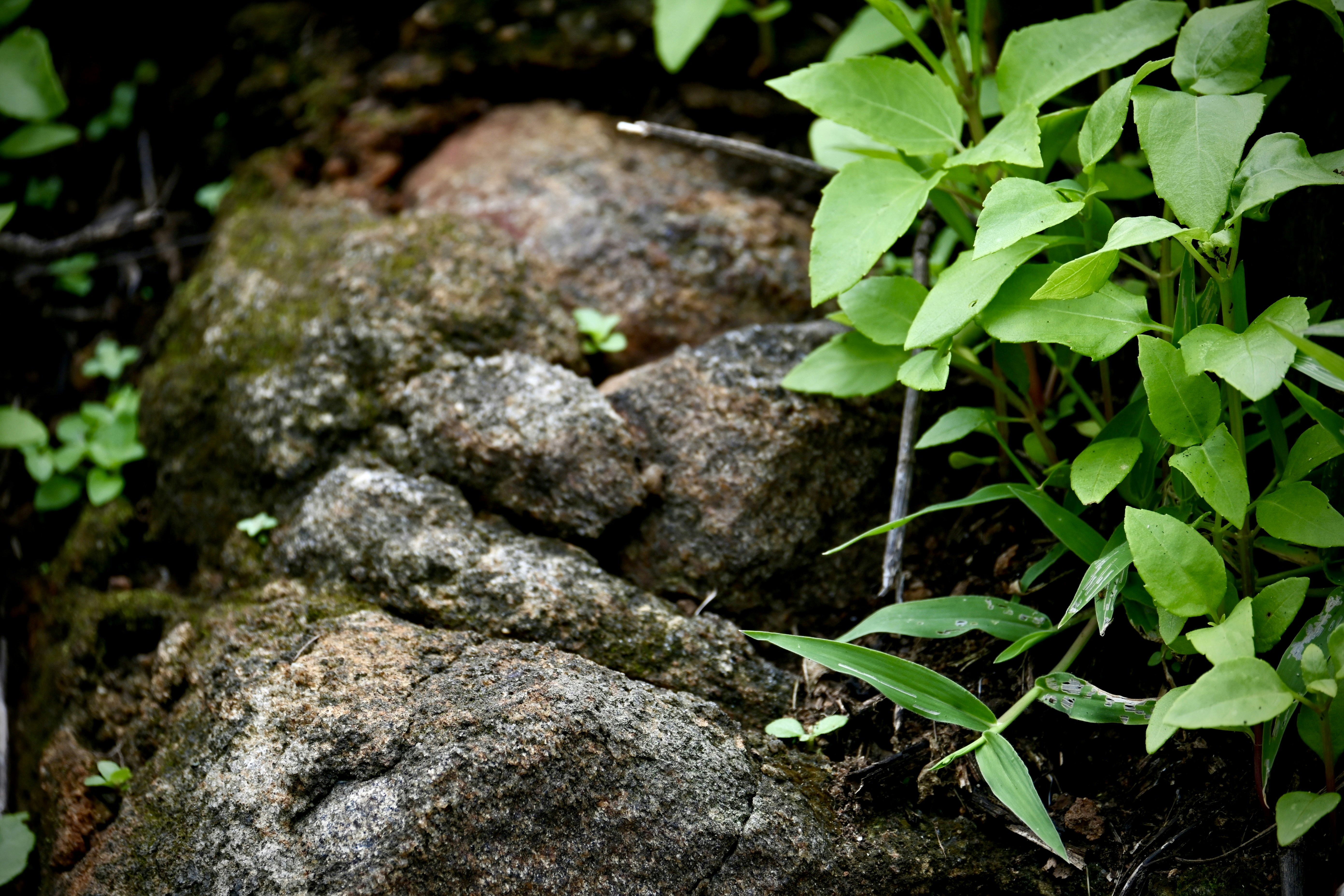 Photo by praswinprakashan