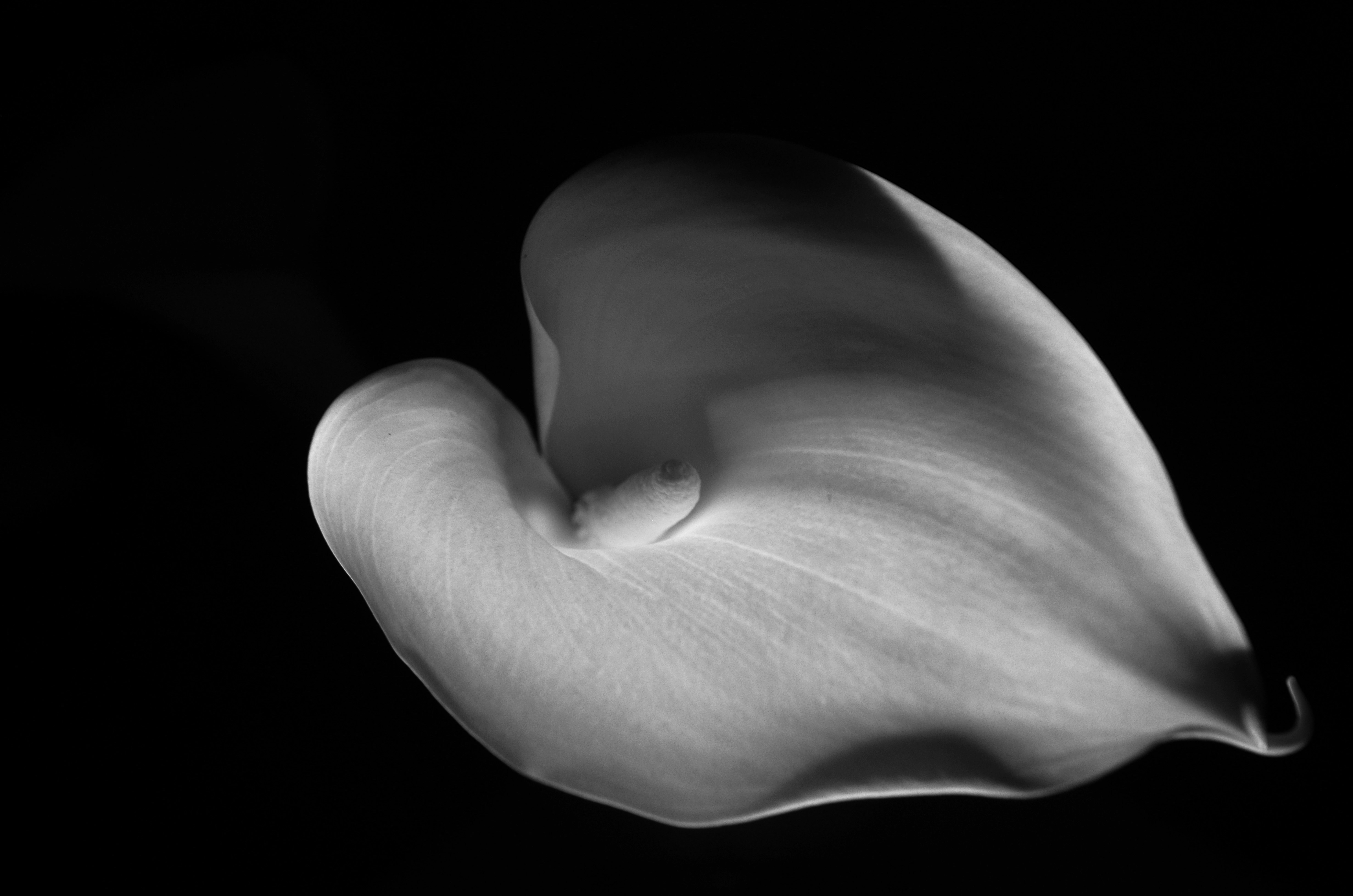 Photo by photoken123