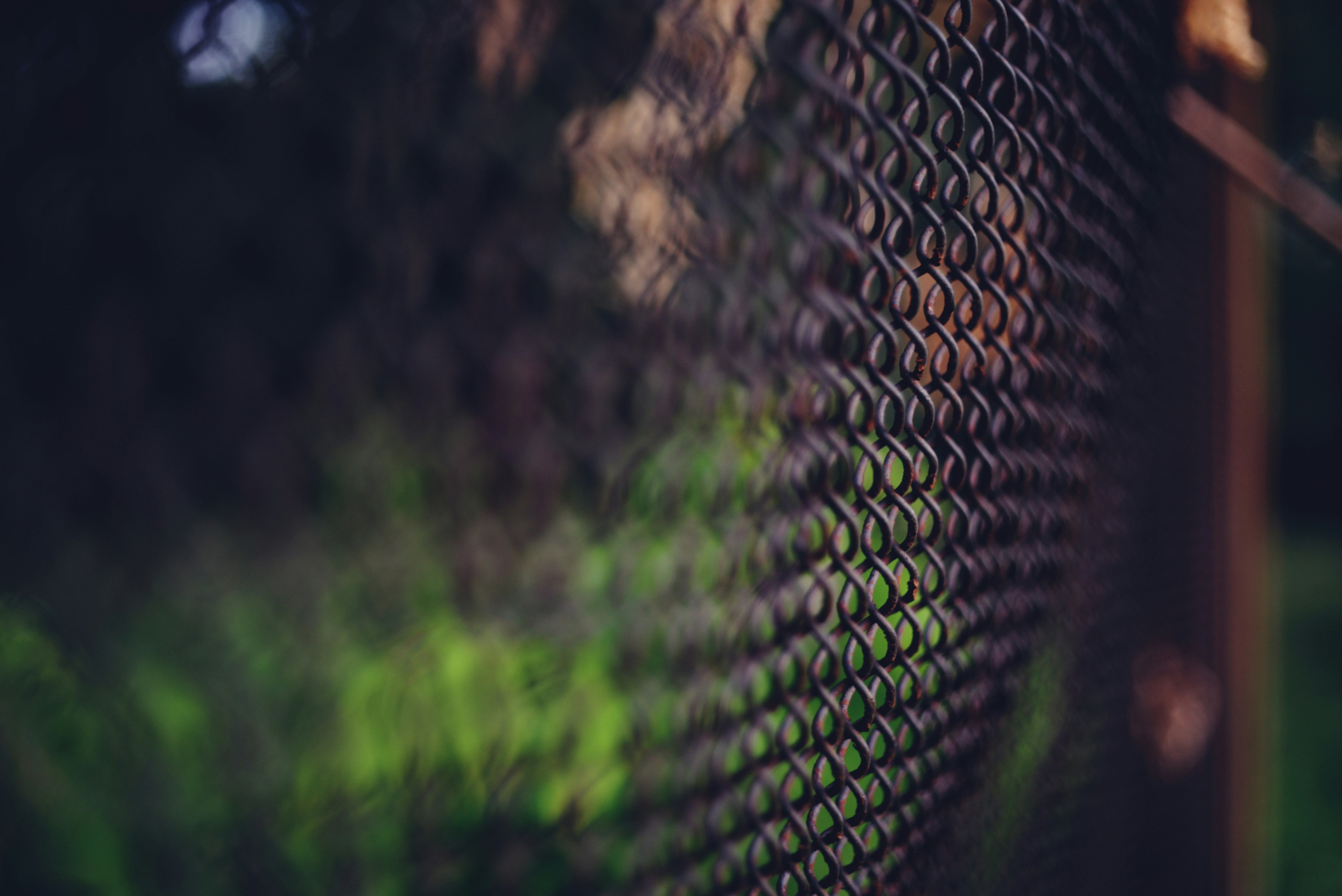 Photo by cherstve_pechivo