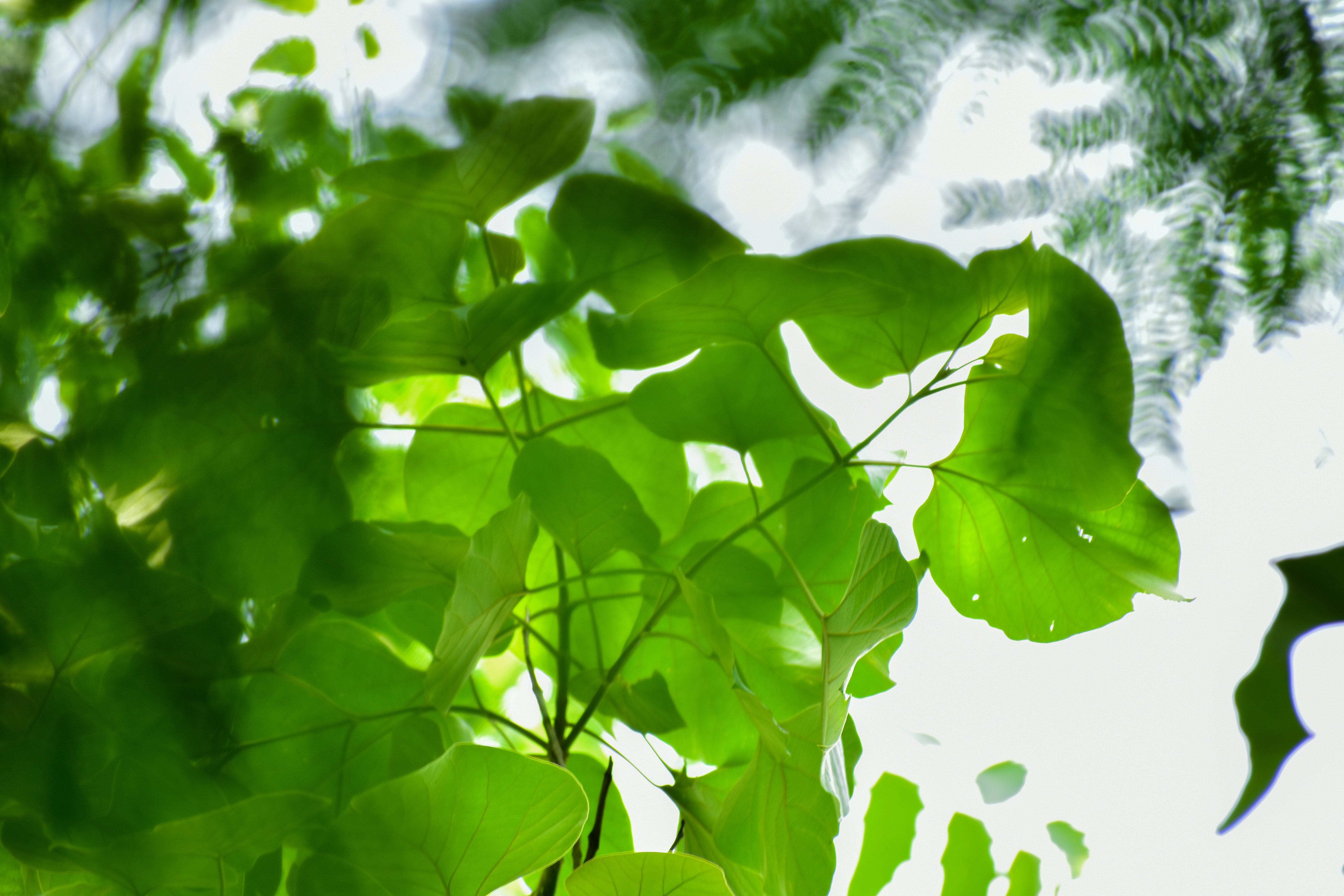 Photo by neelakshi_singh_