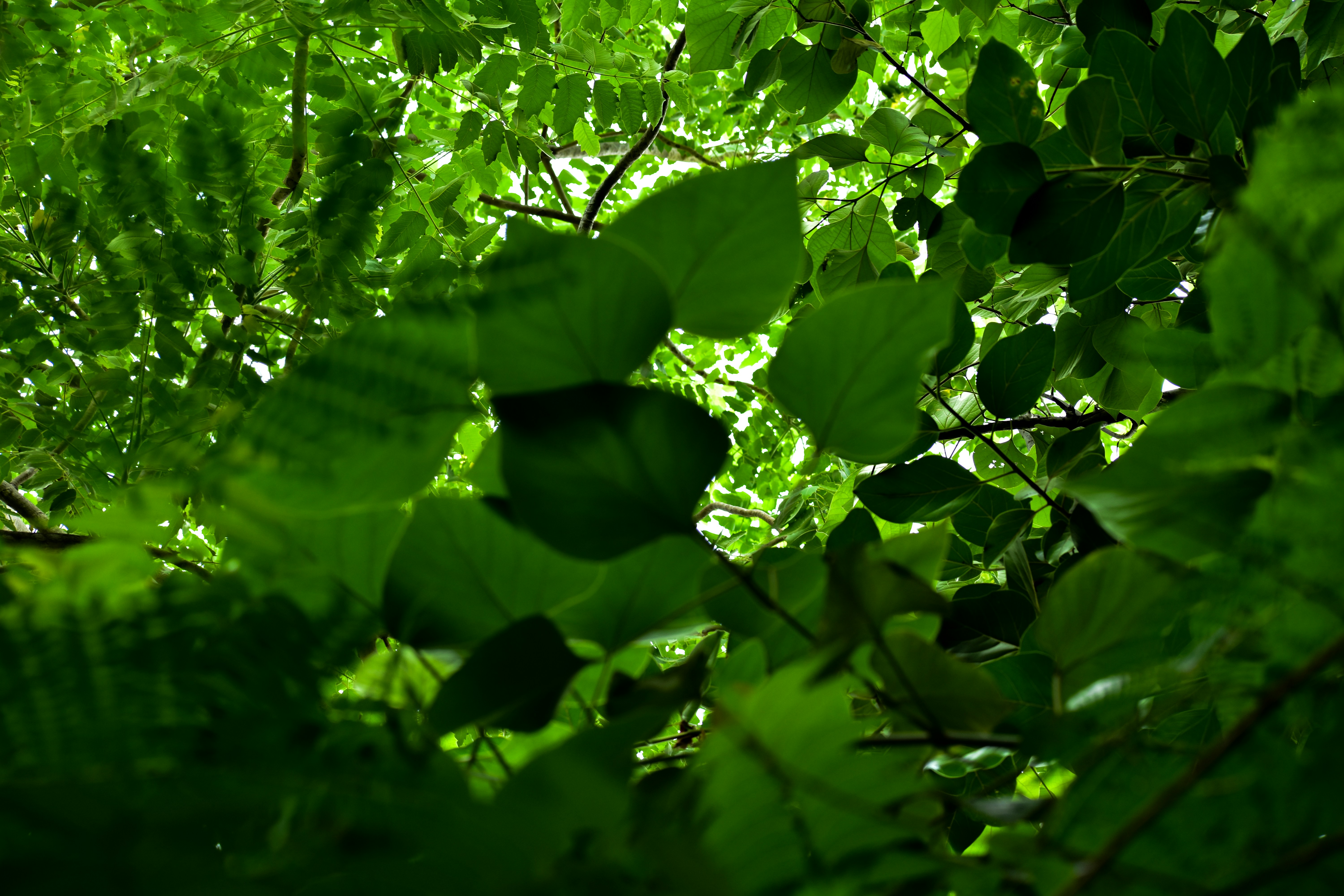 Photo by neelakshi_singh_