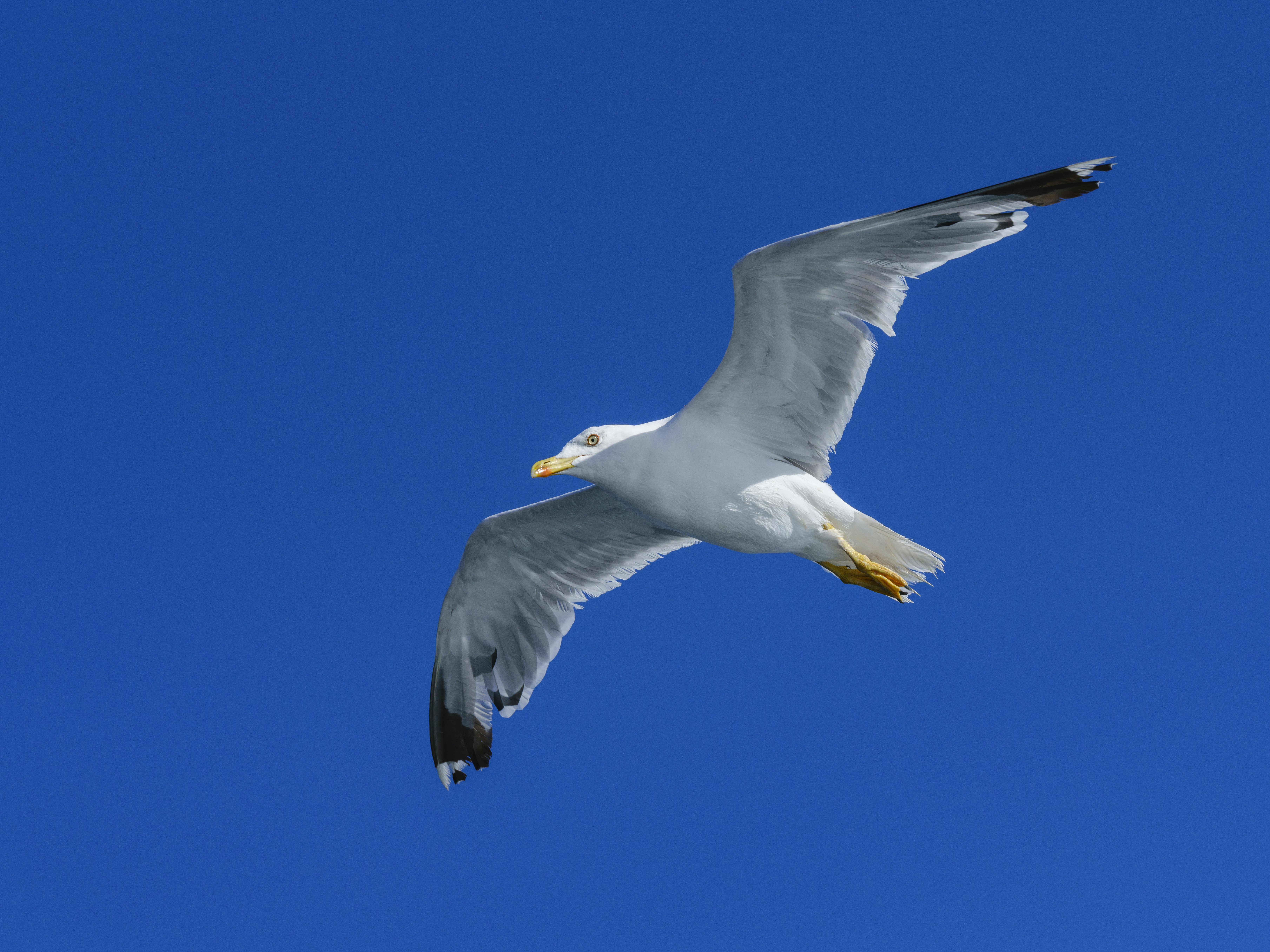 Photo by enginakyurt