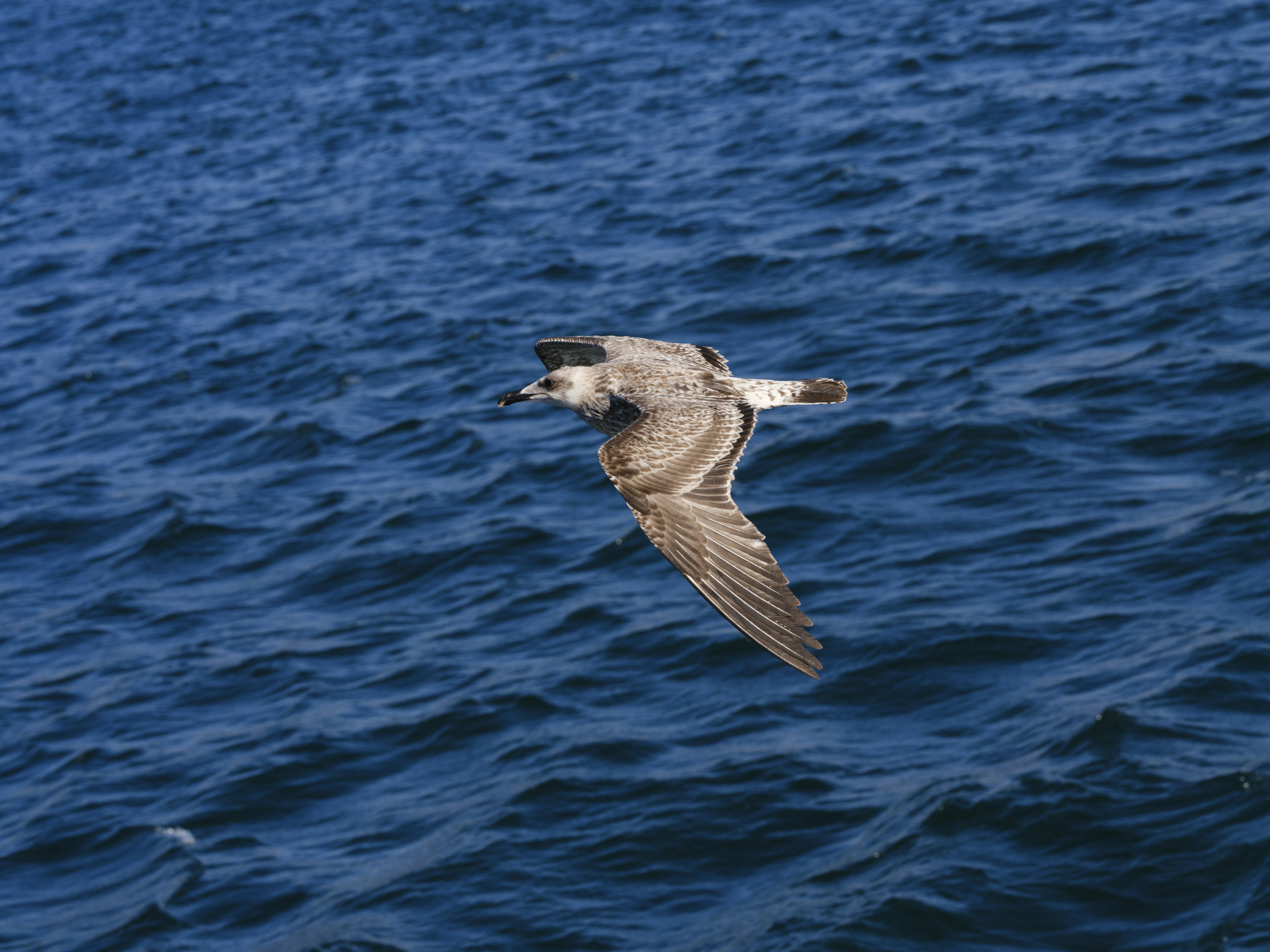 Photo by enginakyurt