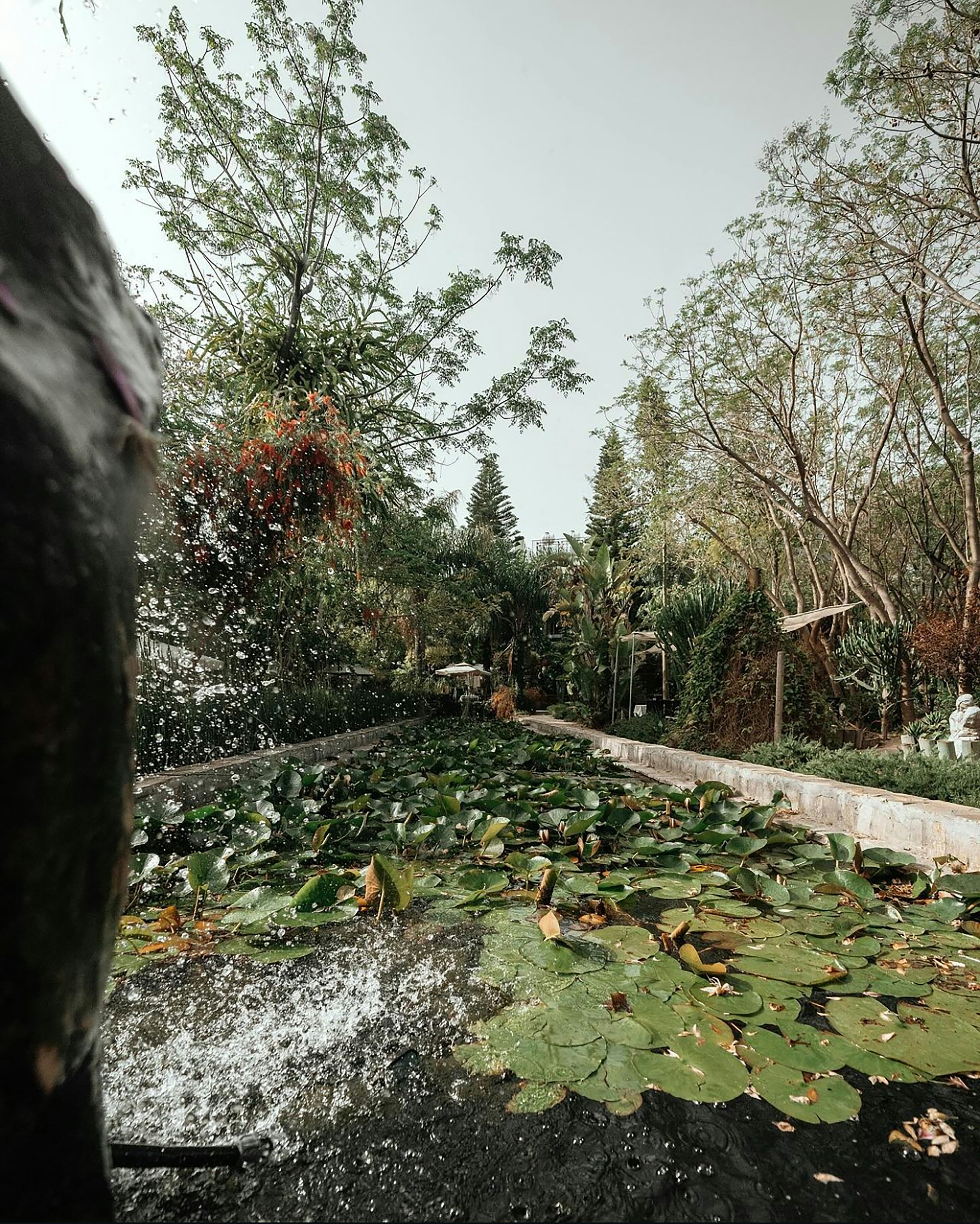 photo-1724414595215-65a38aff72fd?ixid=M3wxMjA3fDB8MXxzZWFyY2h8MTJ8fHdhdGVyJTIwZGFtYWdlJTIwcmVzdG9yYXRpb24lMjBsb3MlMjBhbmdlbGVzfGVufDB8fHx8MTc1MTU4MTg2OHww\u0026ixlib=rb-4.1.0