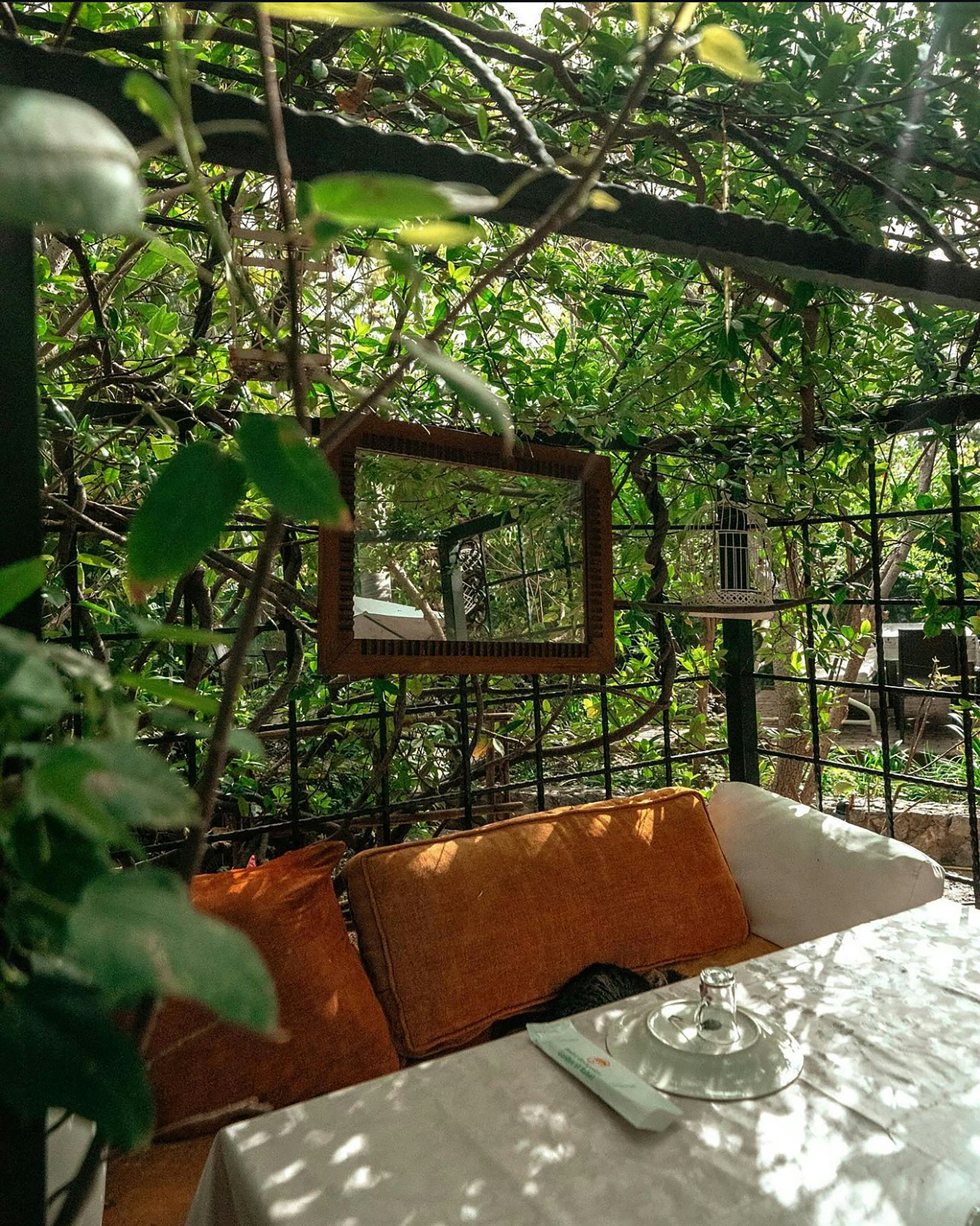 A serene natural beauty landscape