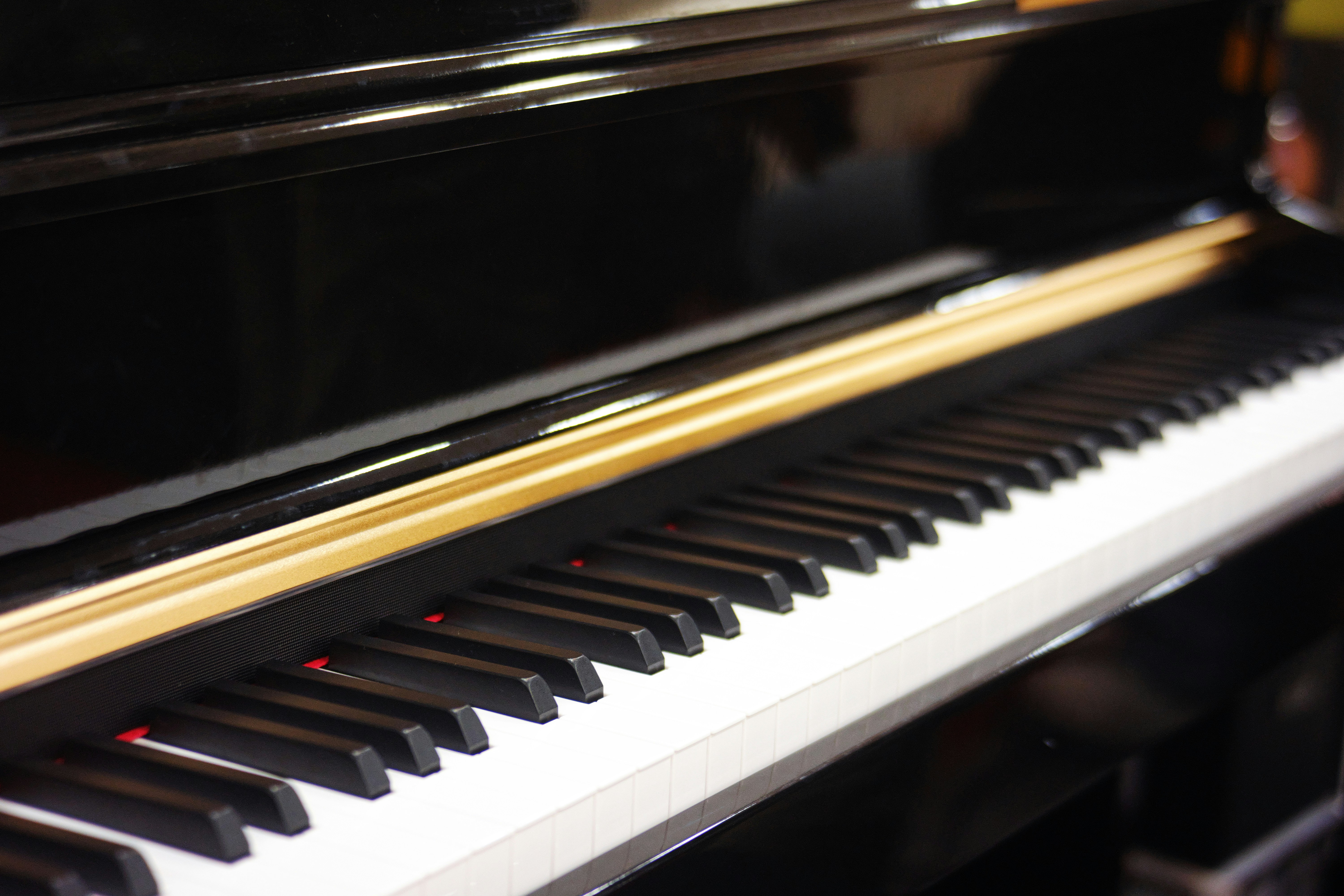 A close up of a piano with a black case