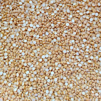 A close up of a bunch of grain