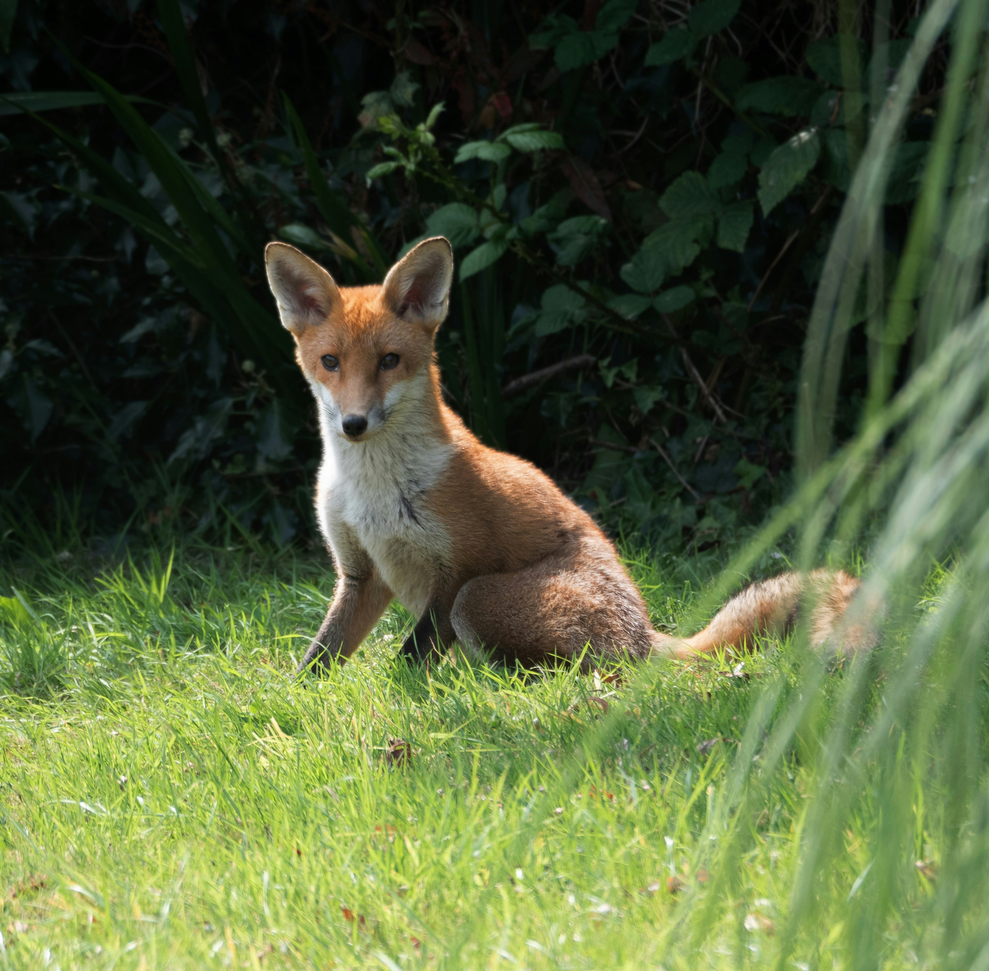 Photo by brett_jordan