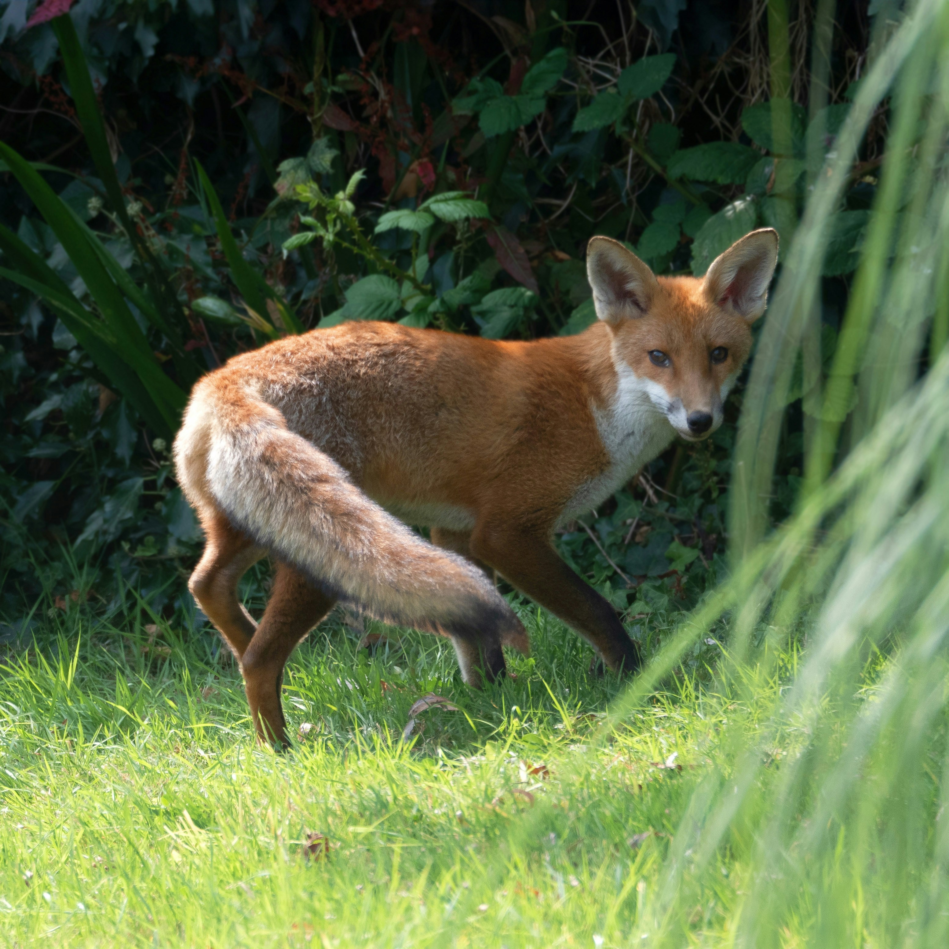 Photo by brett_jordan