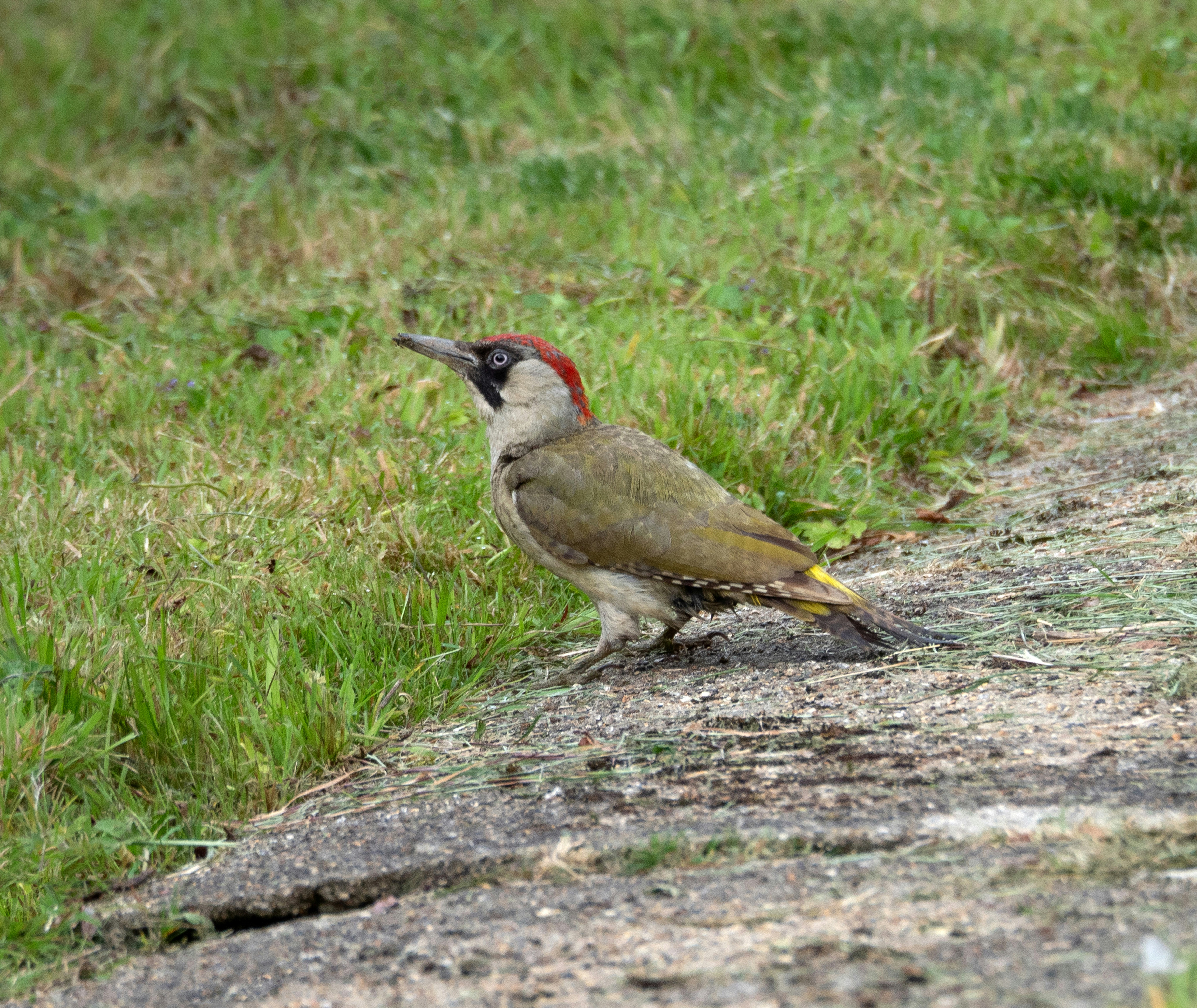 Photo by brett_jordan