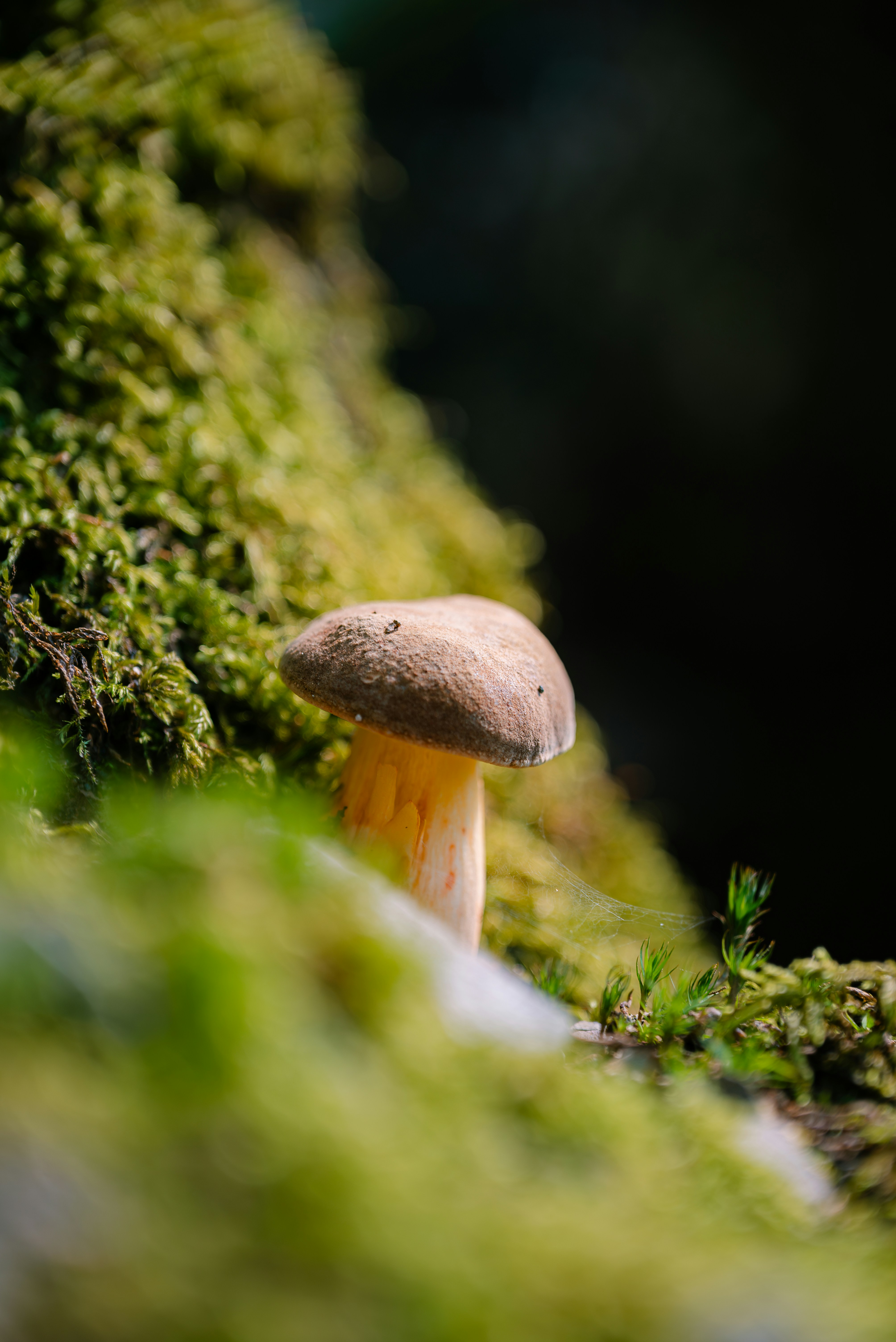 Photo by jetztabertempo