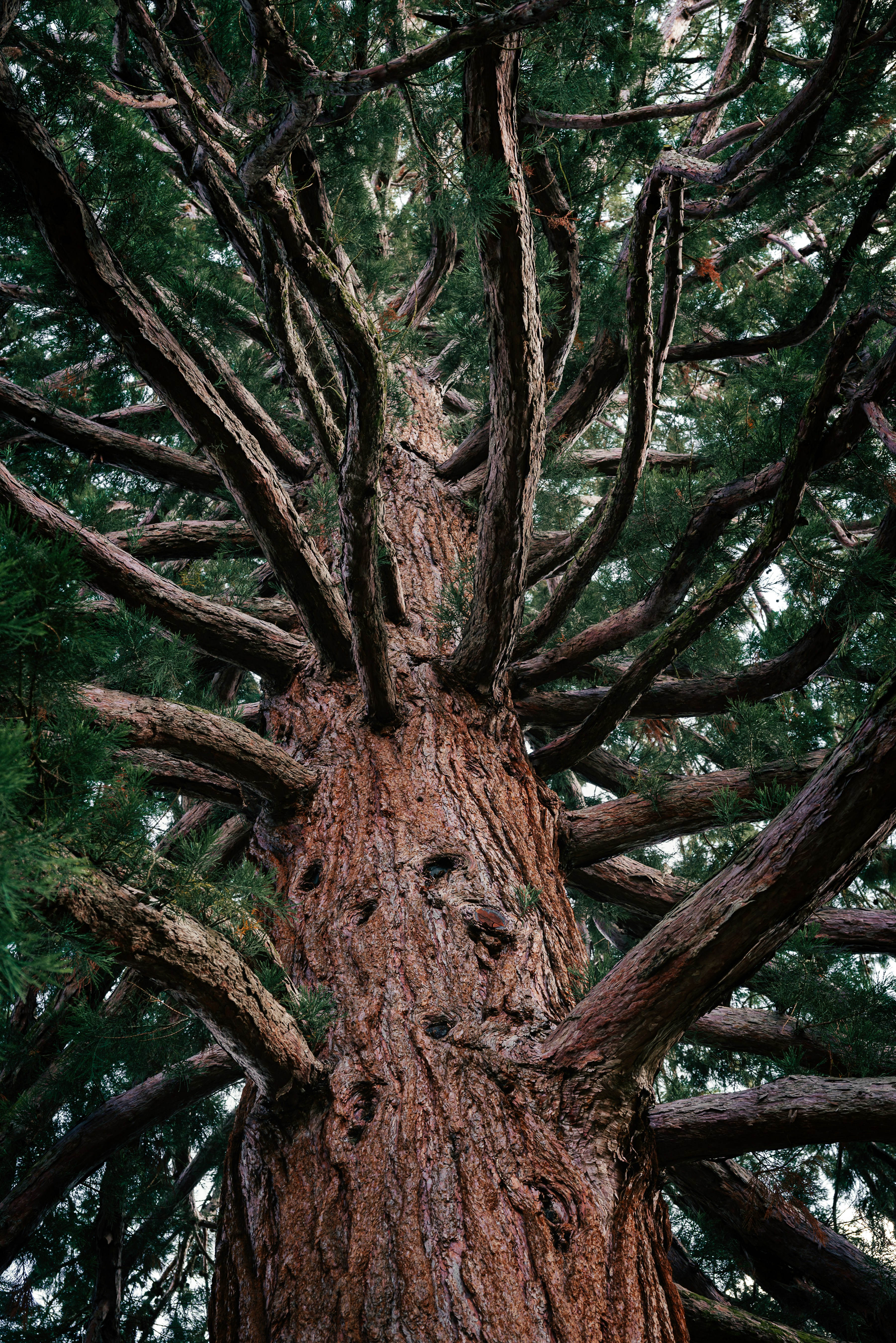 Photo by jetztabertempo