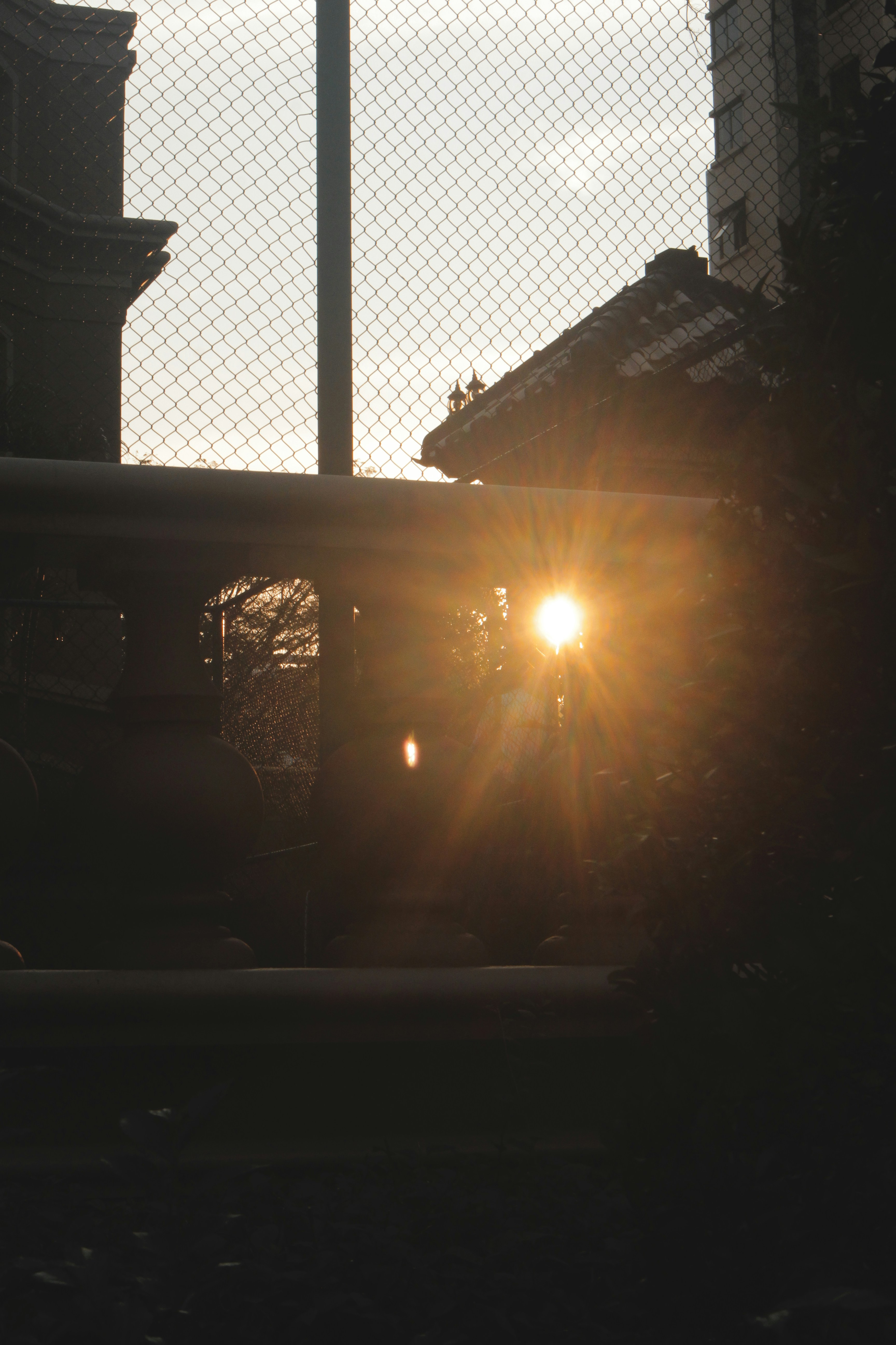 Photo by stillsbyros