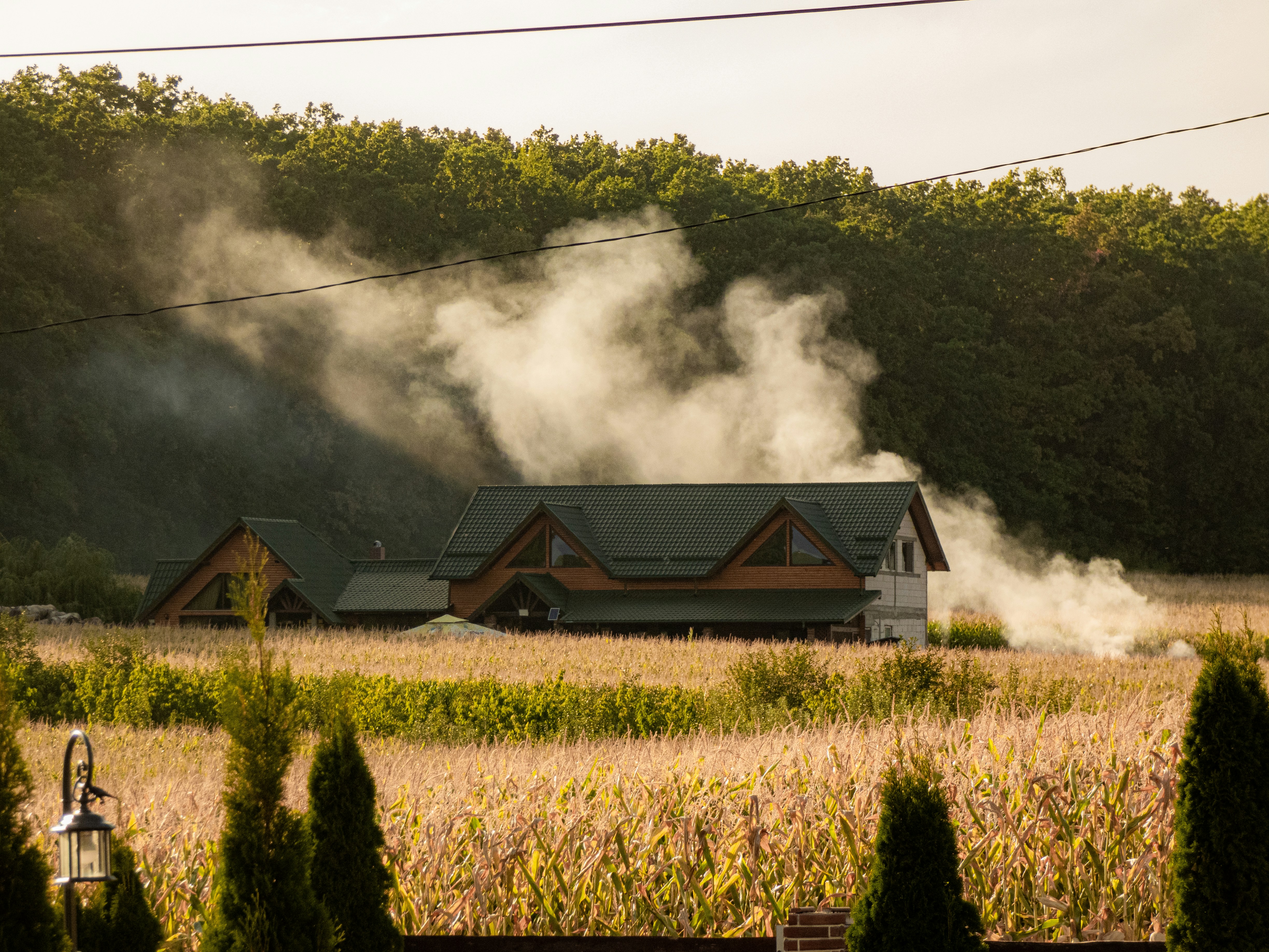 💨 **냄새 잡는 스마트 축사 시대 개막! 농진청, IoT 기술로 전국 확대 추진** 💨