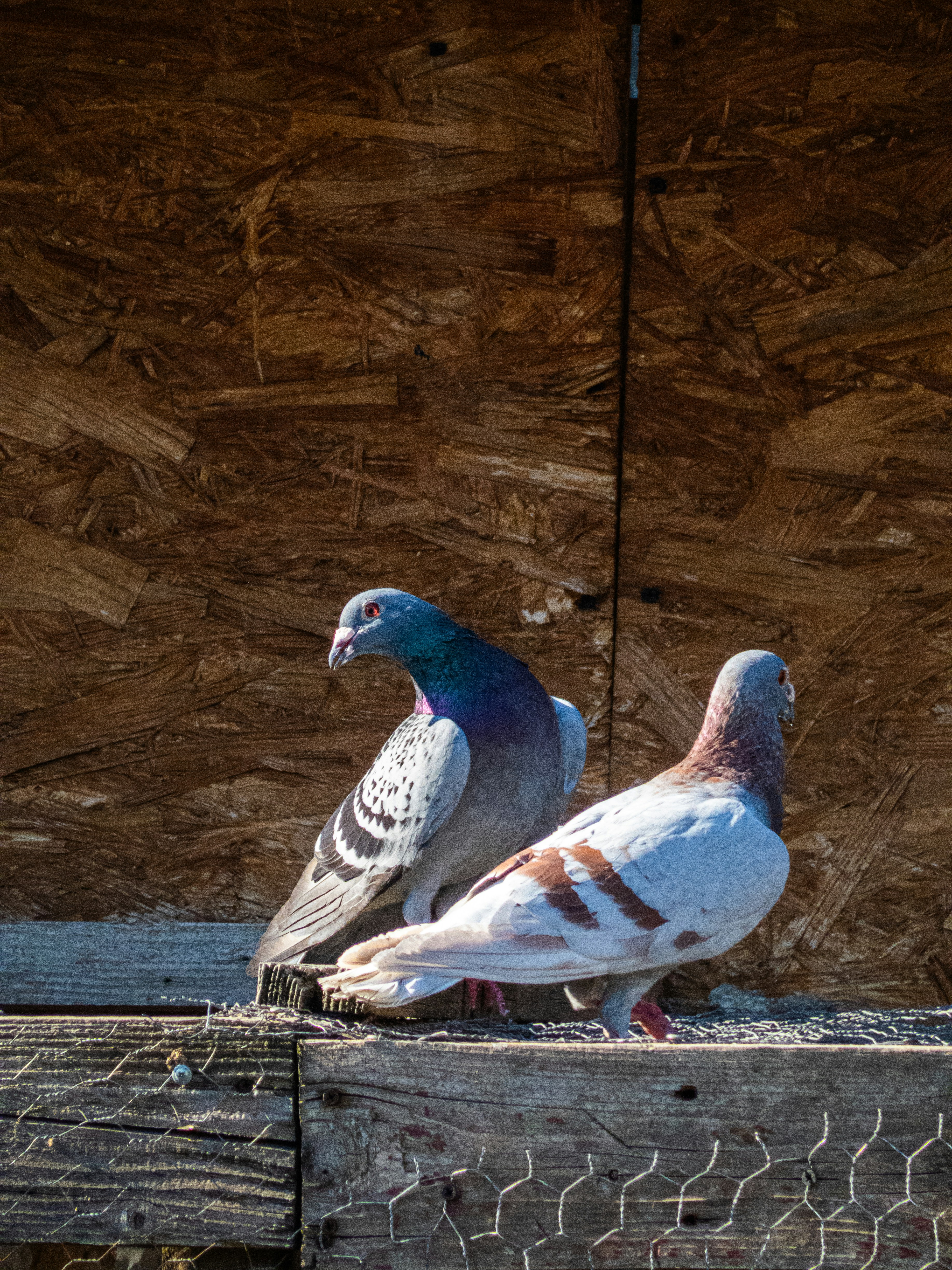 Photo by justmeandcamera