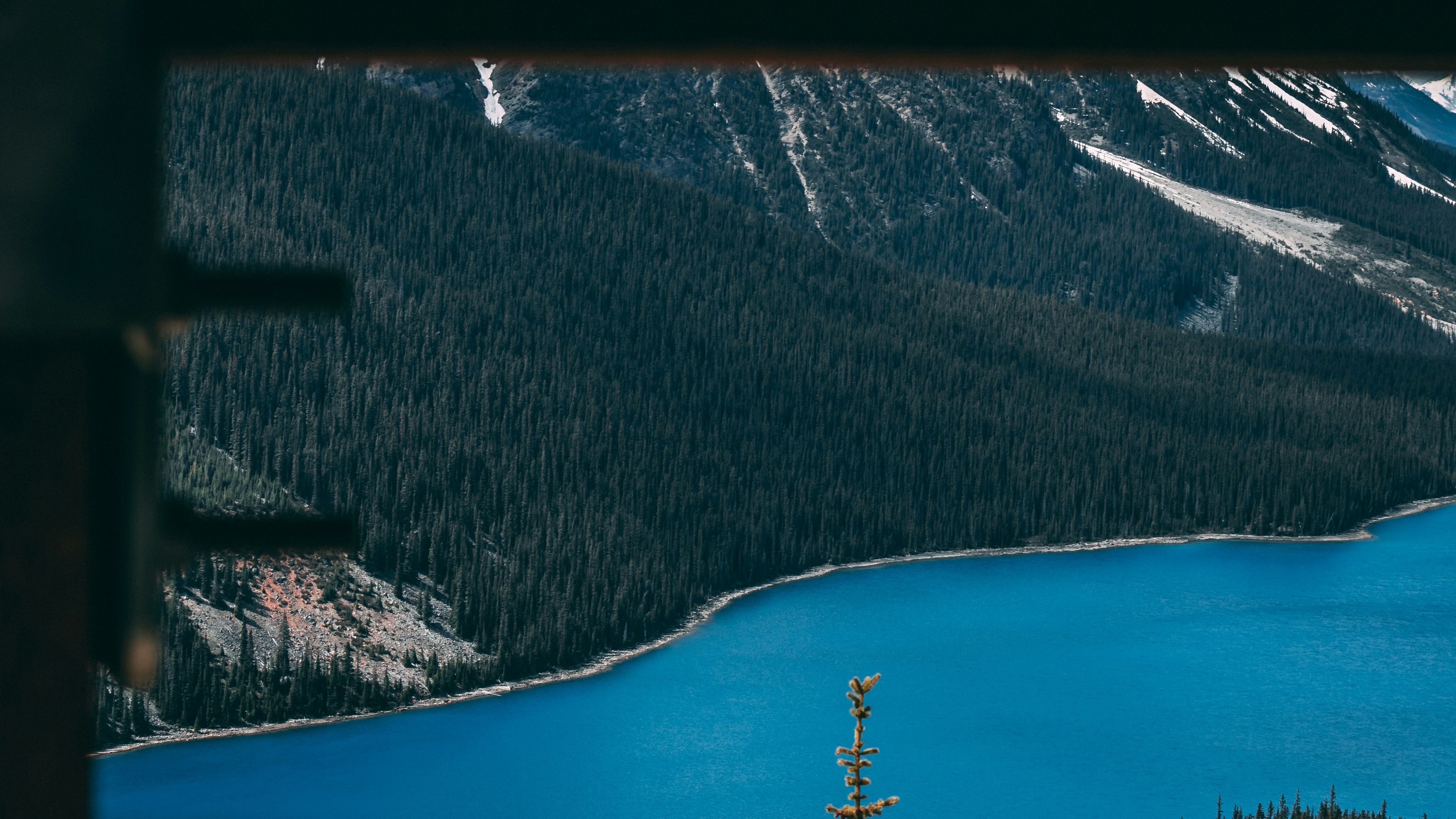 Photo by wlkr_photography