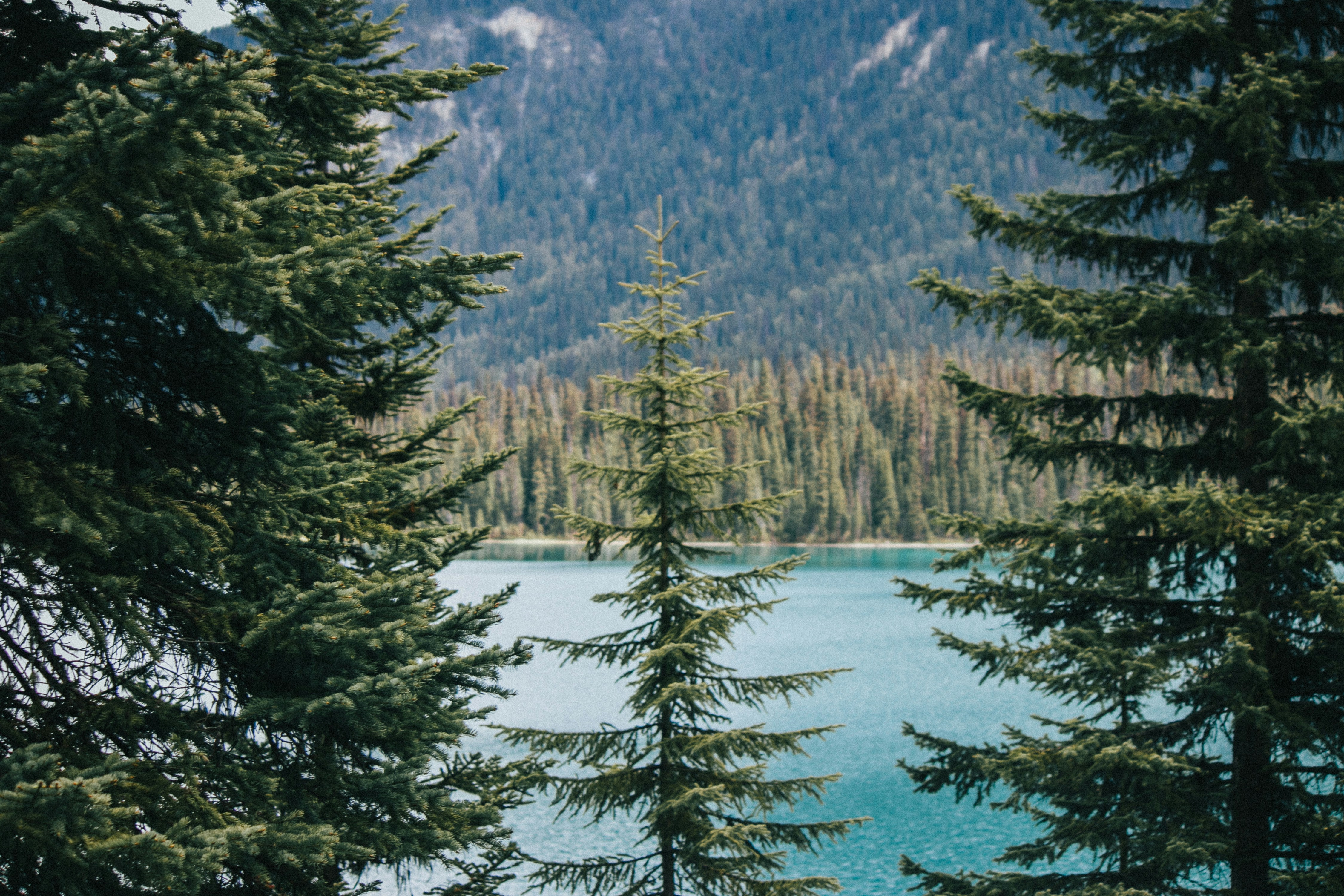 Photo by wlkr_photography