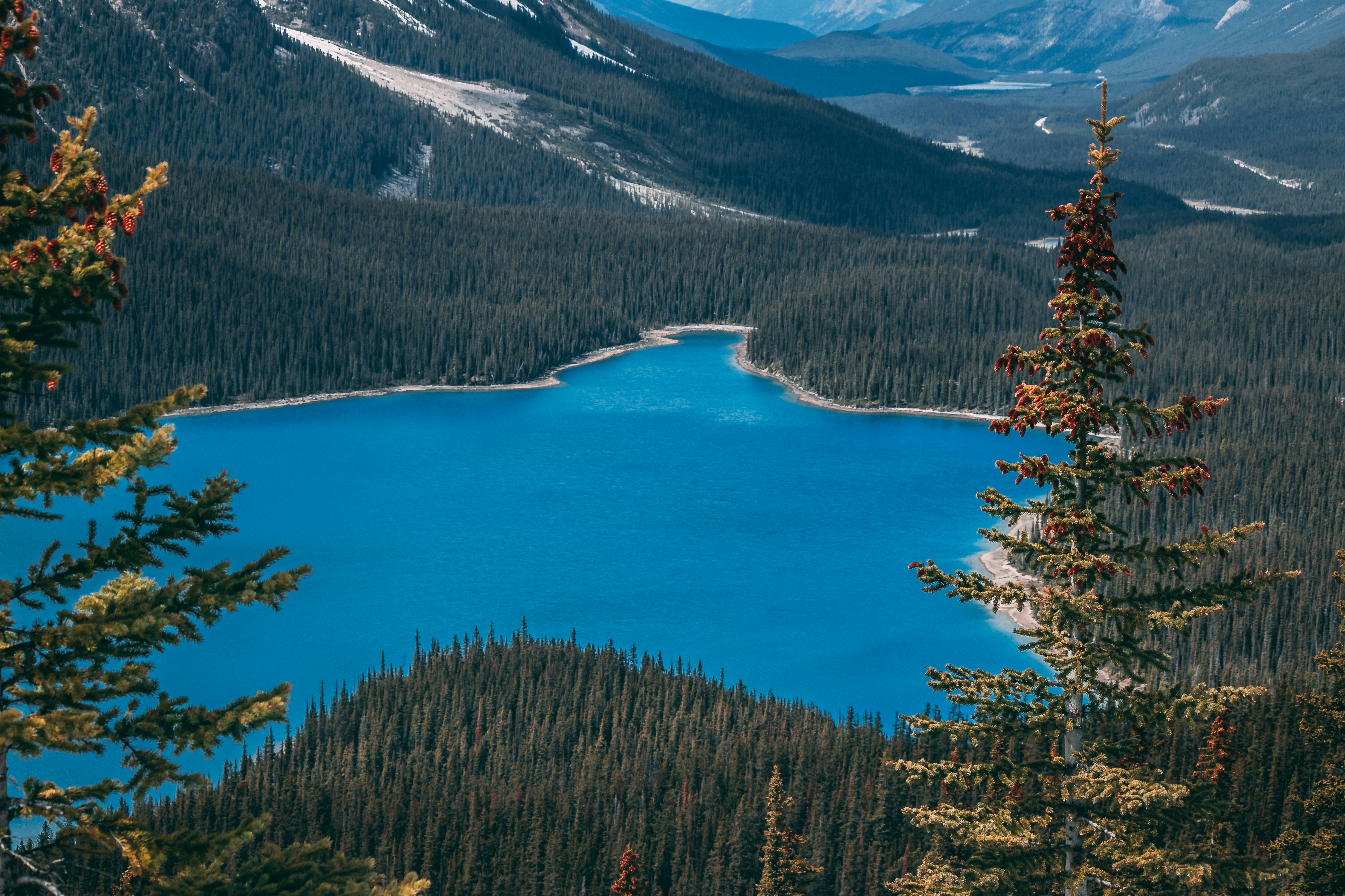 Photo by wlkr_photography