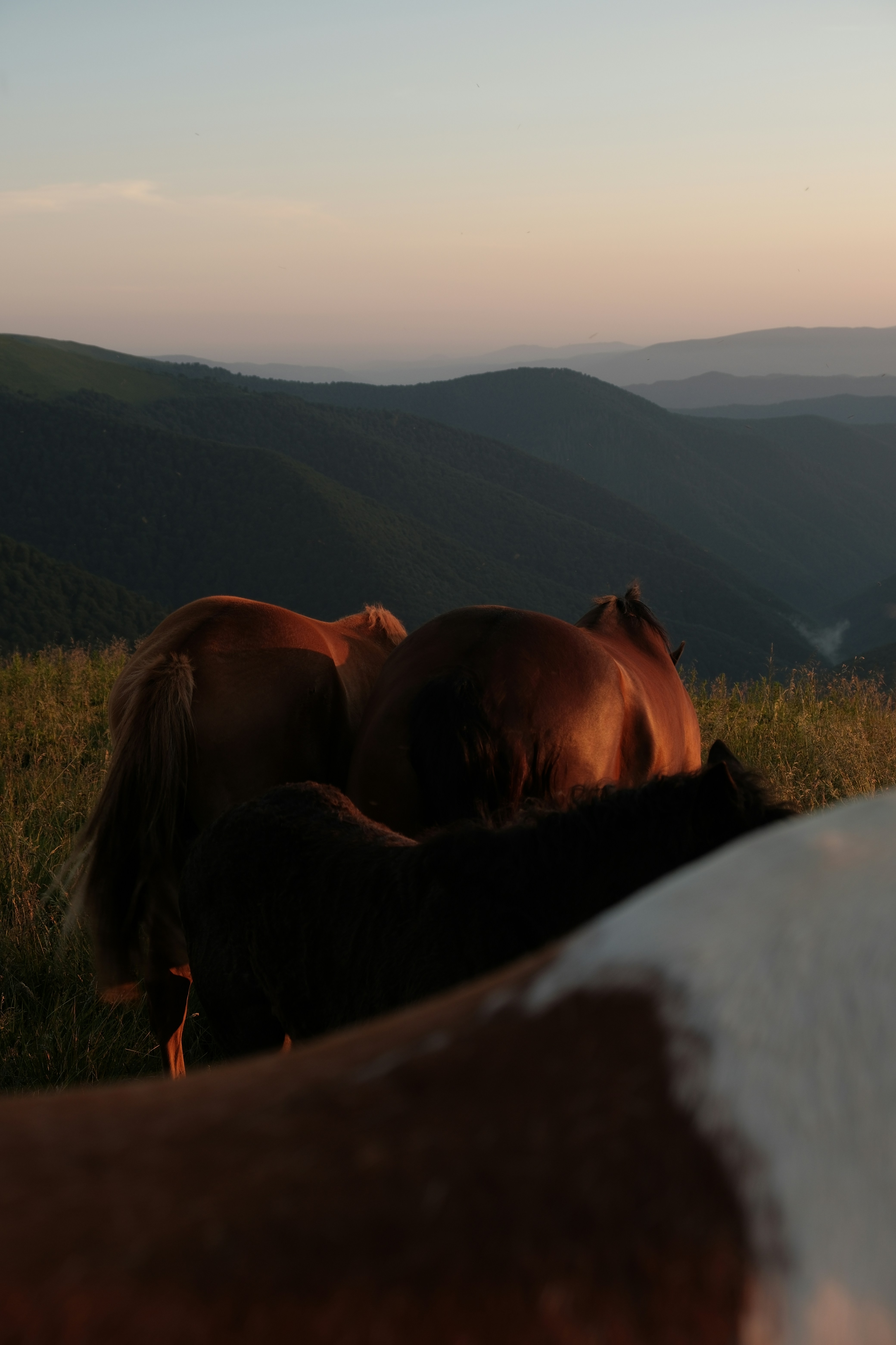 Photo by vesyniavska