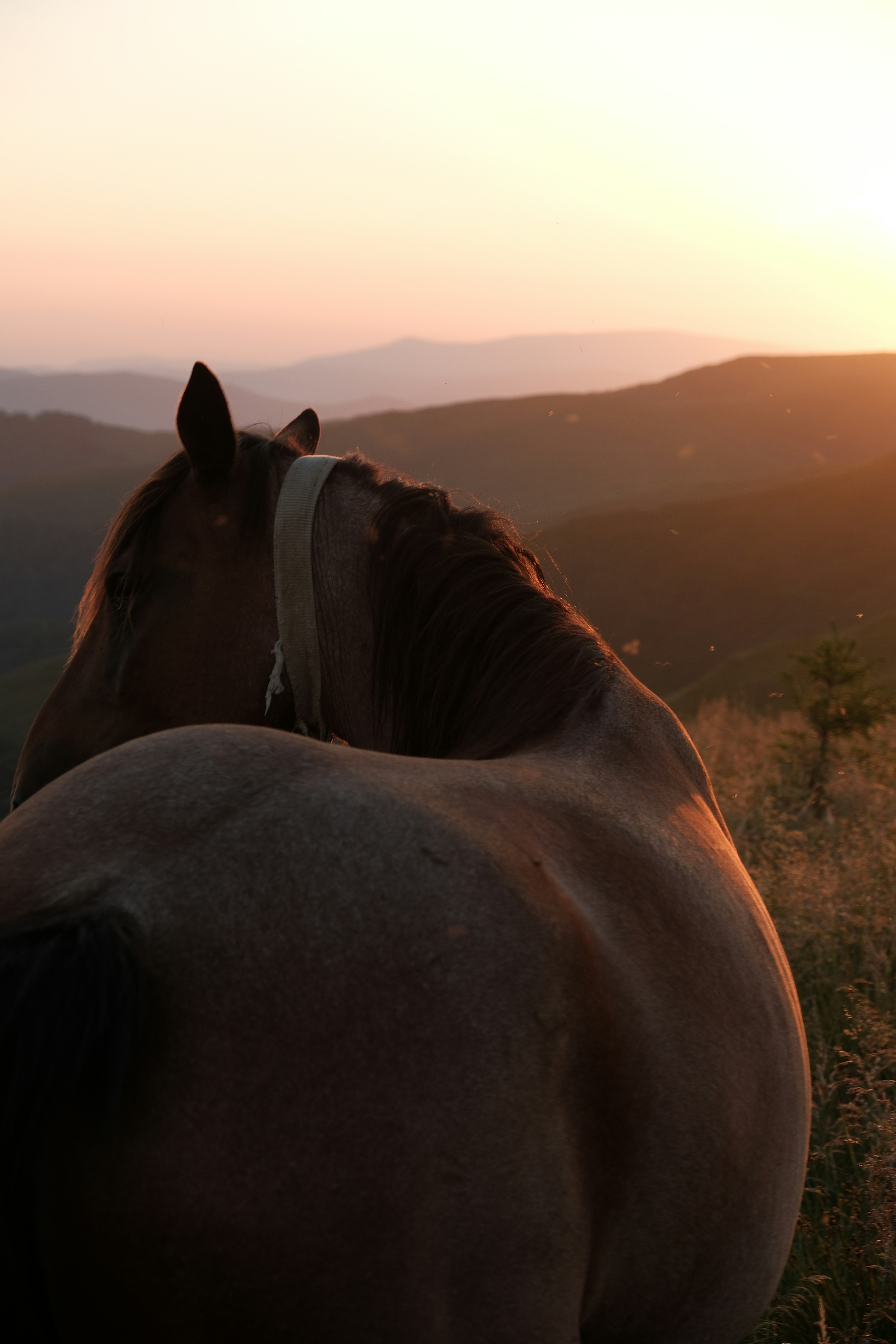 Photo by vesyniavska