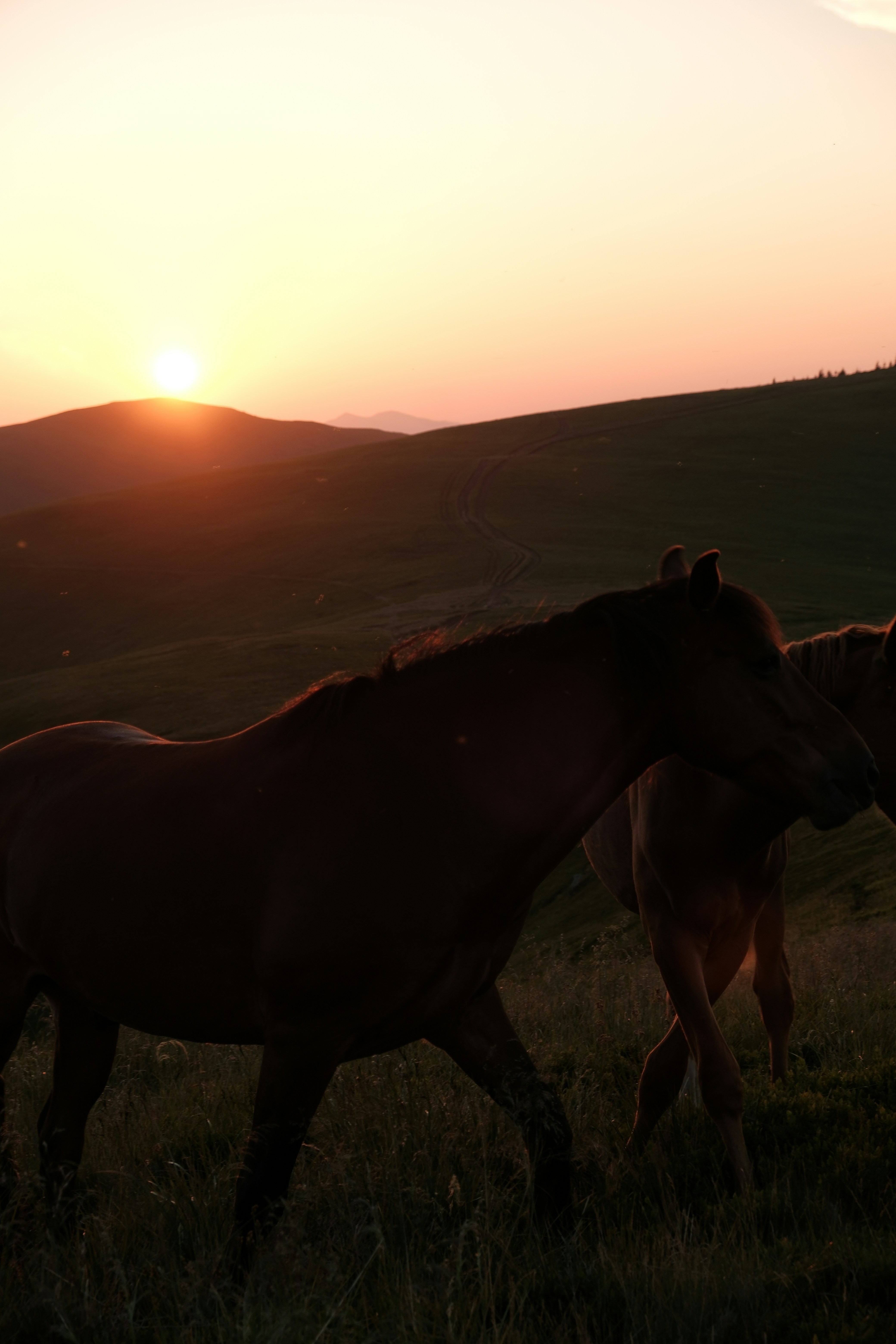 Photo by vesyniavska