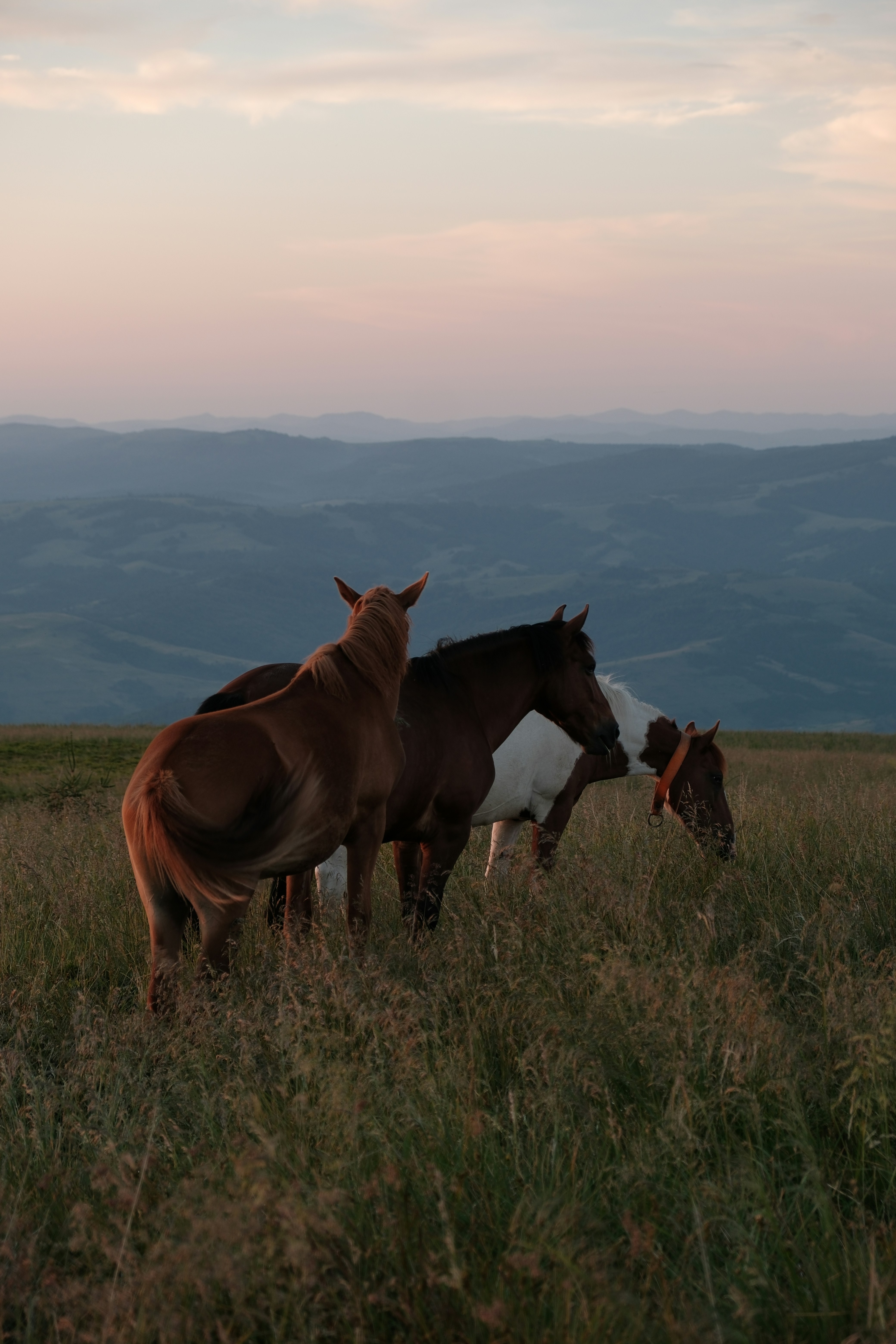 Photo by vesyniavska